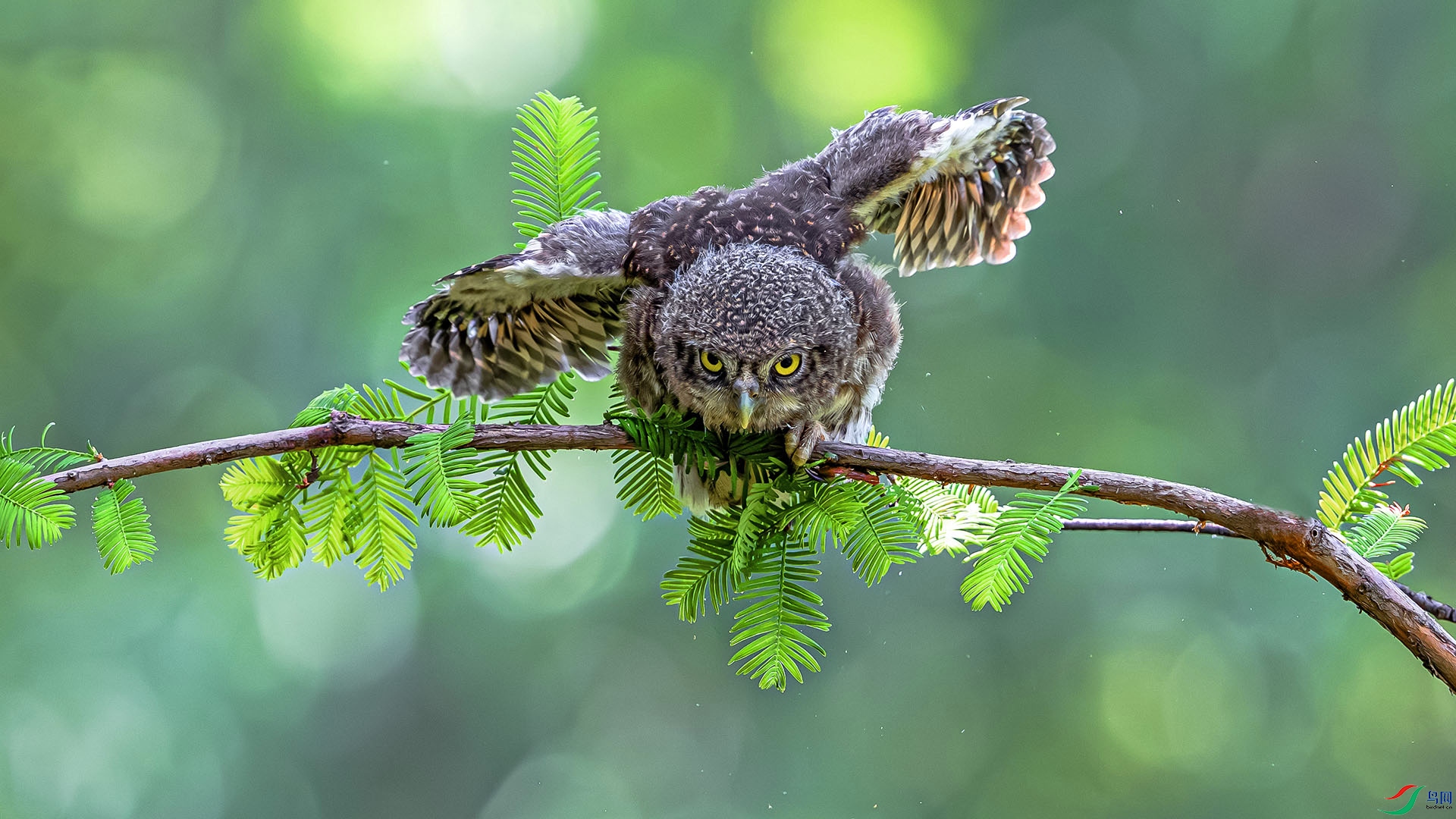 DSC_4680 ����.jpg