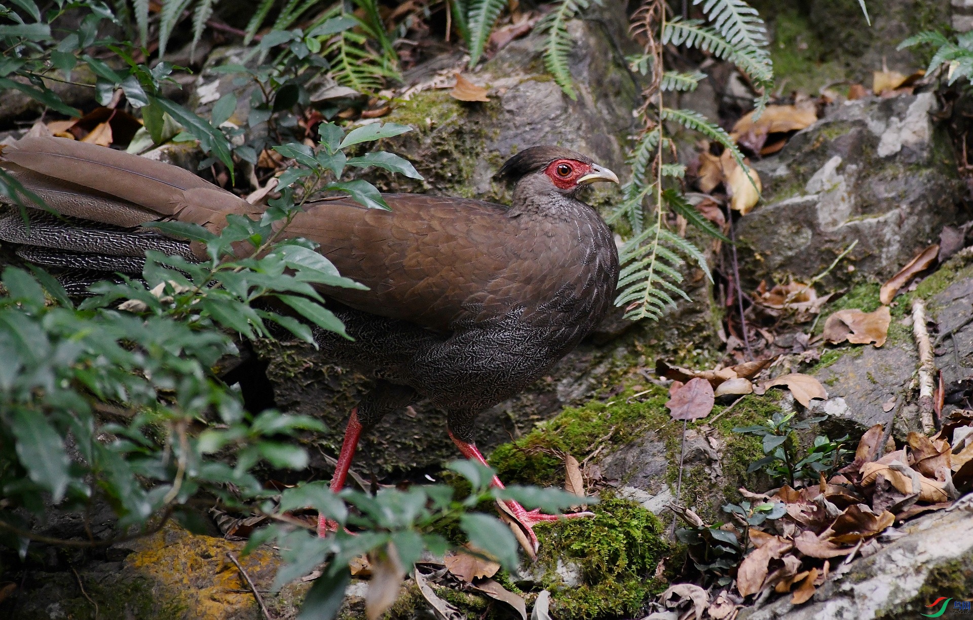 DSC_7904.jpg