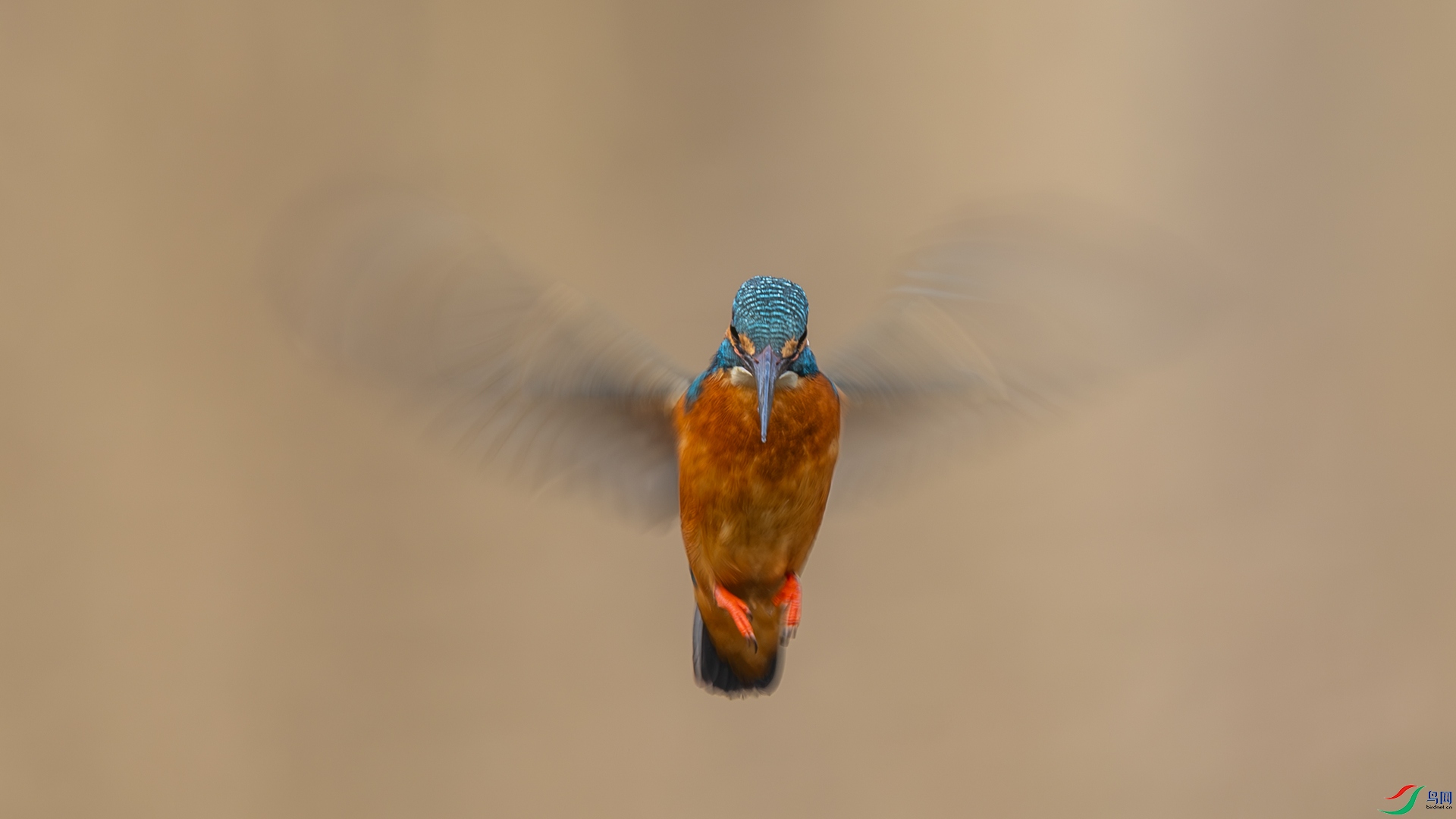 _16A1654-1.jpg