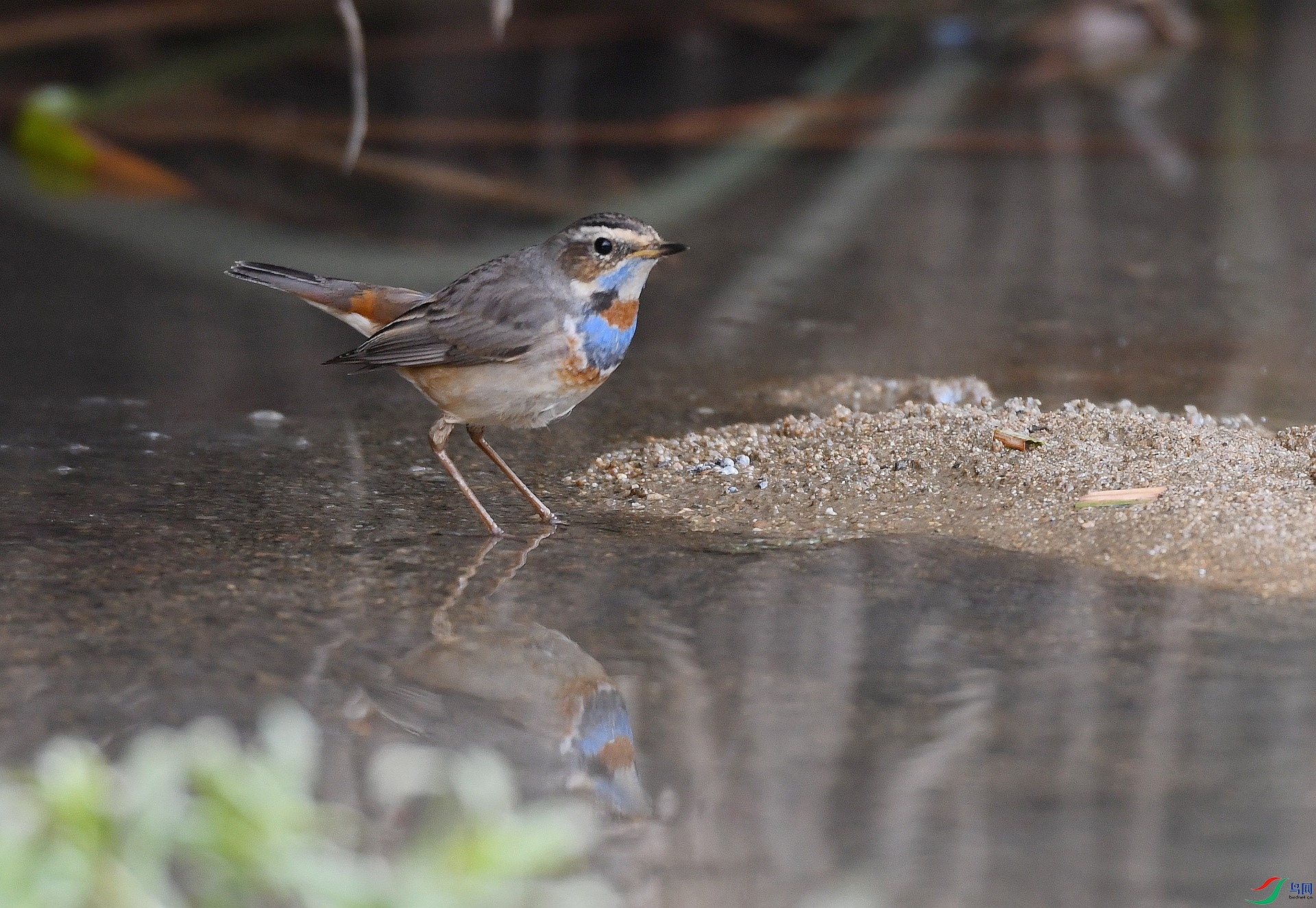 DSC_4363.jpg