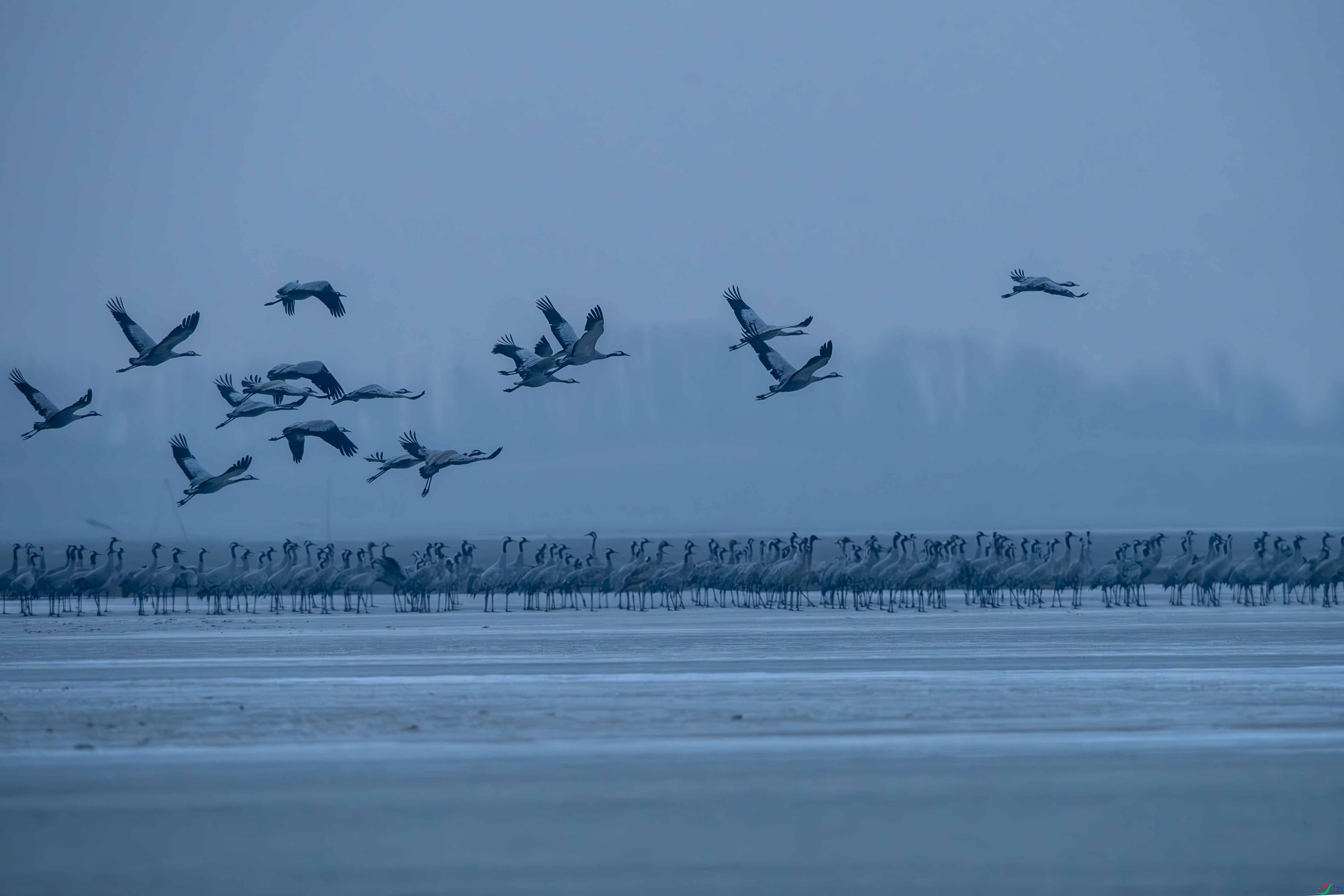 _LYF8401-����ǿ-NR-2 ����.jpg