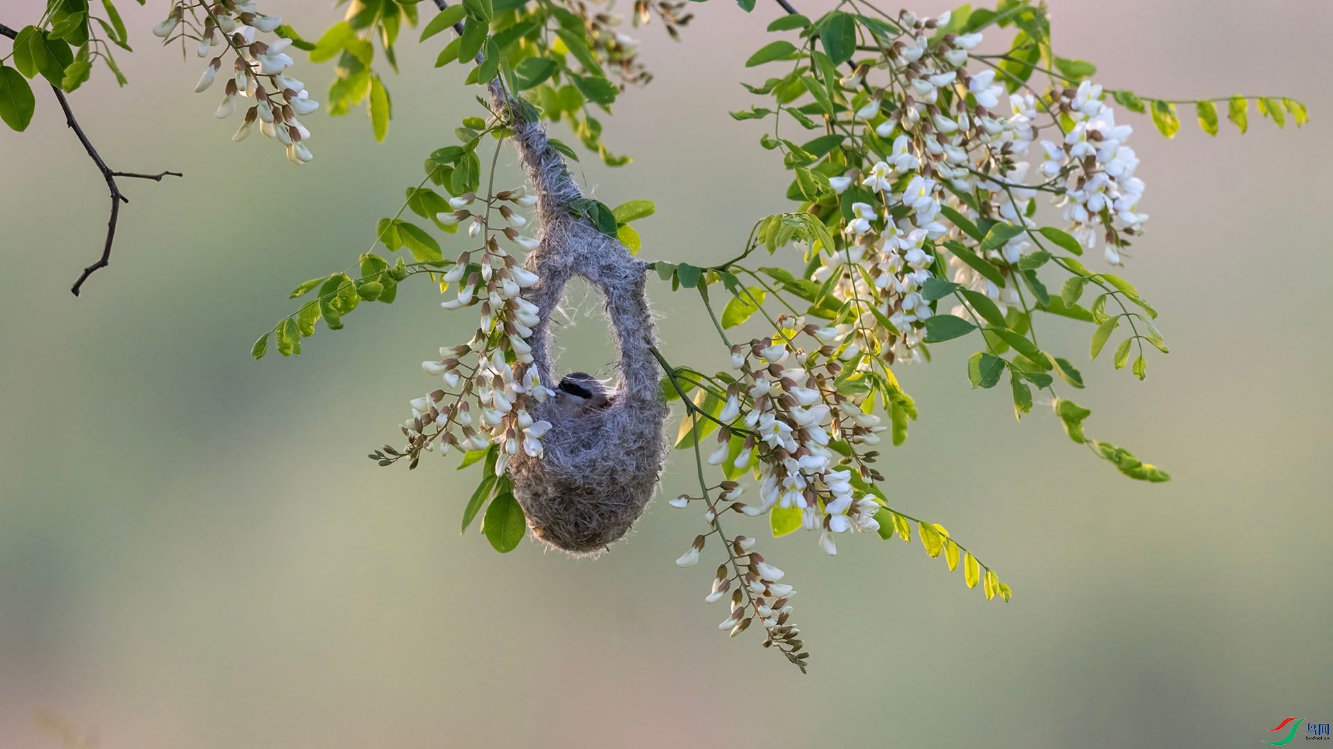 _DSC0406 ����.jpg