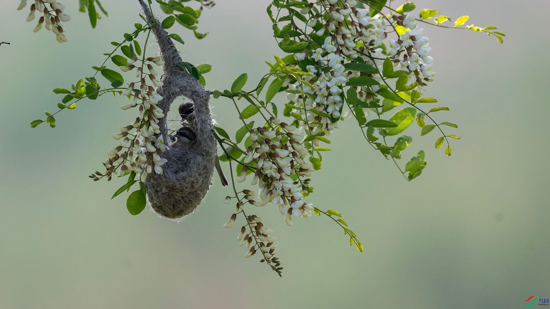 _DSC0764 ����.jpg