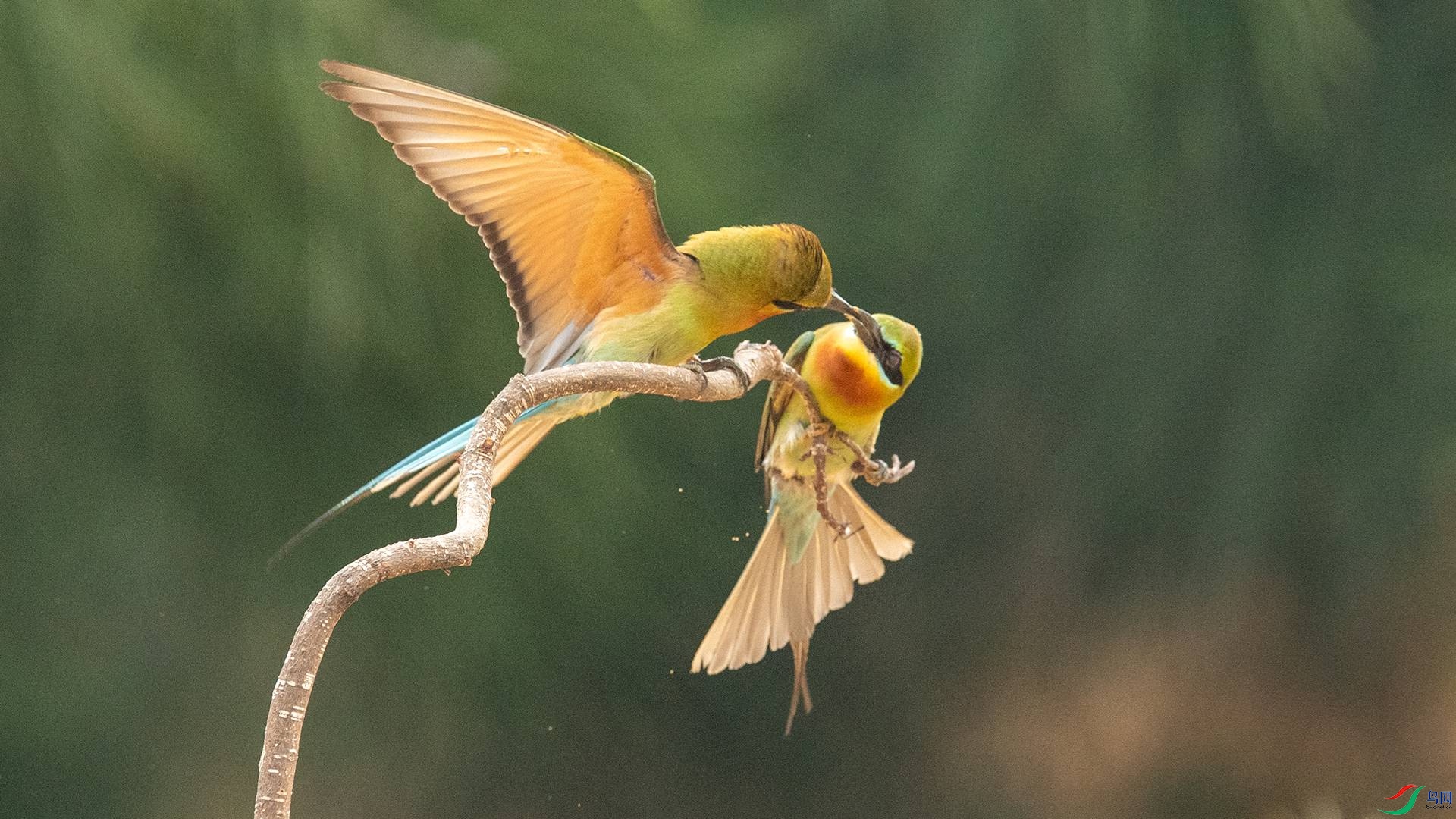 WGB_0010 ����.jpg