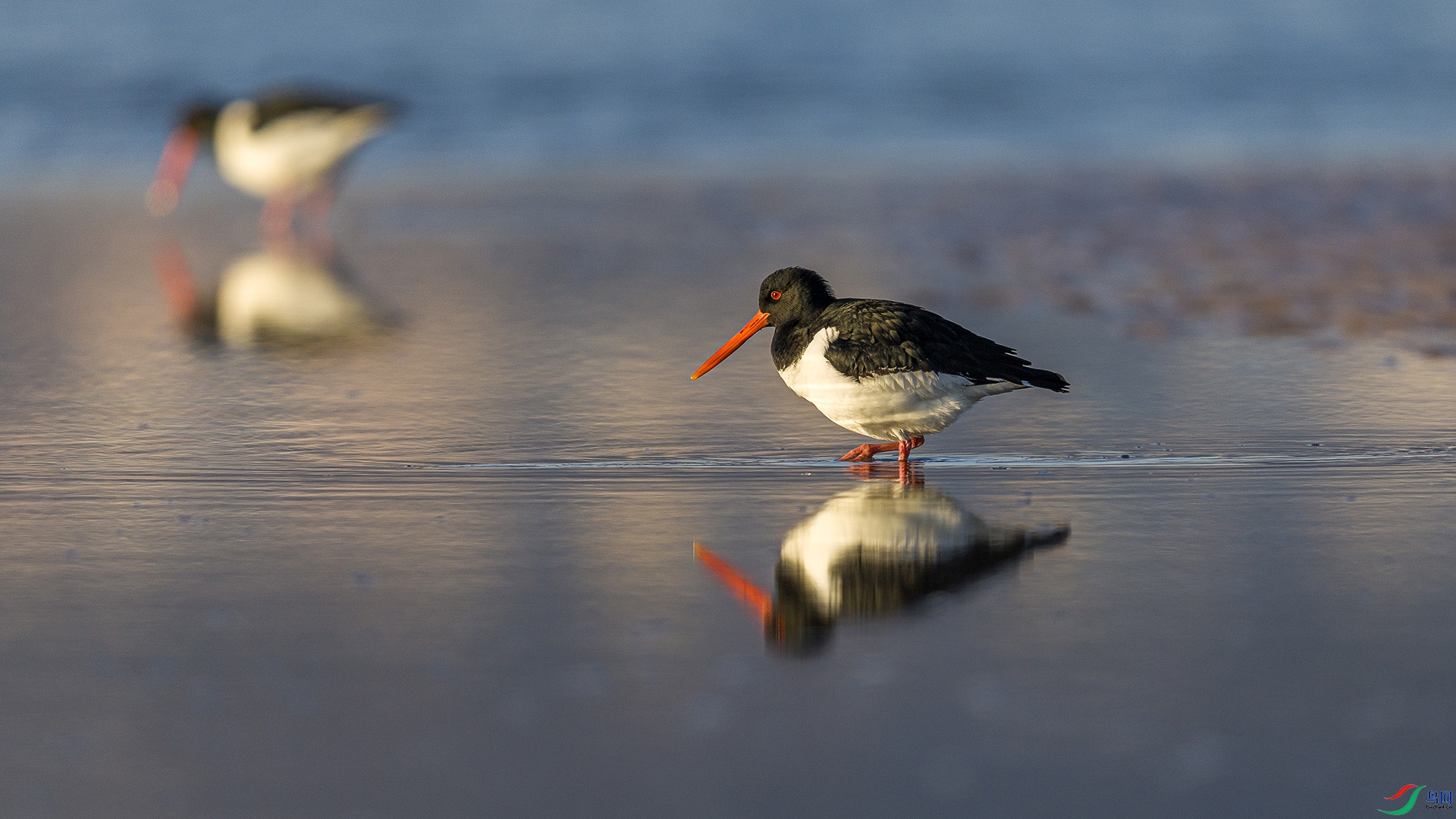 051A2016 ����n.jpg