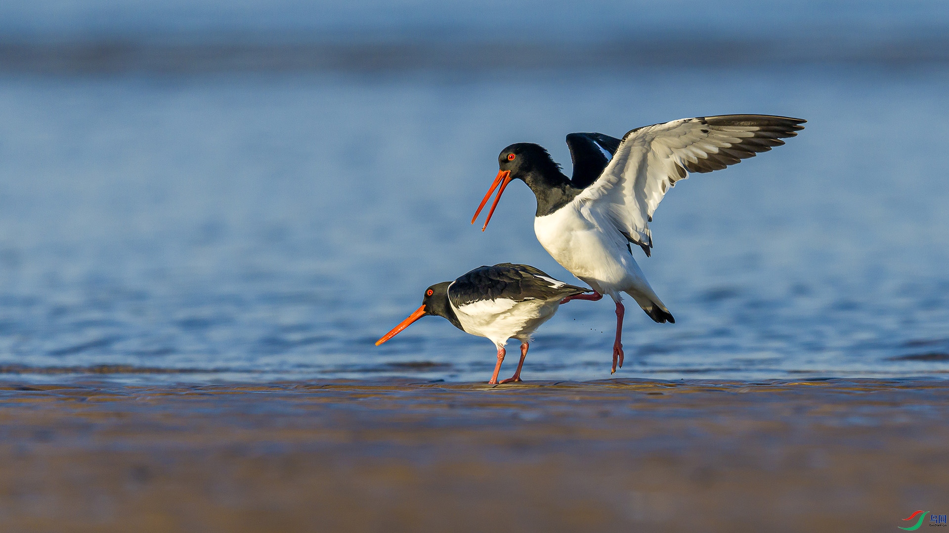 051A2045 ����n.jpg