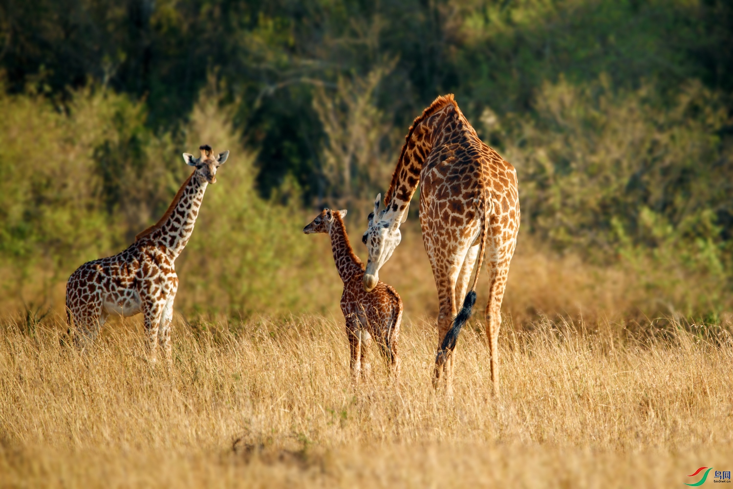 AQ9I0599 ����.jpg