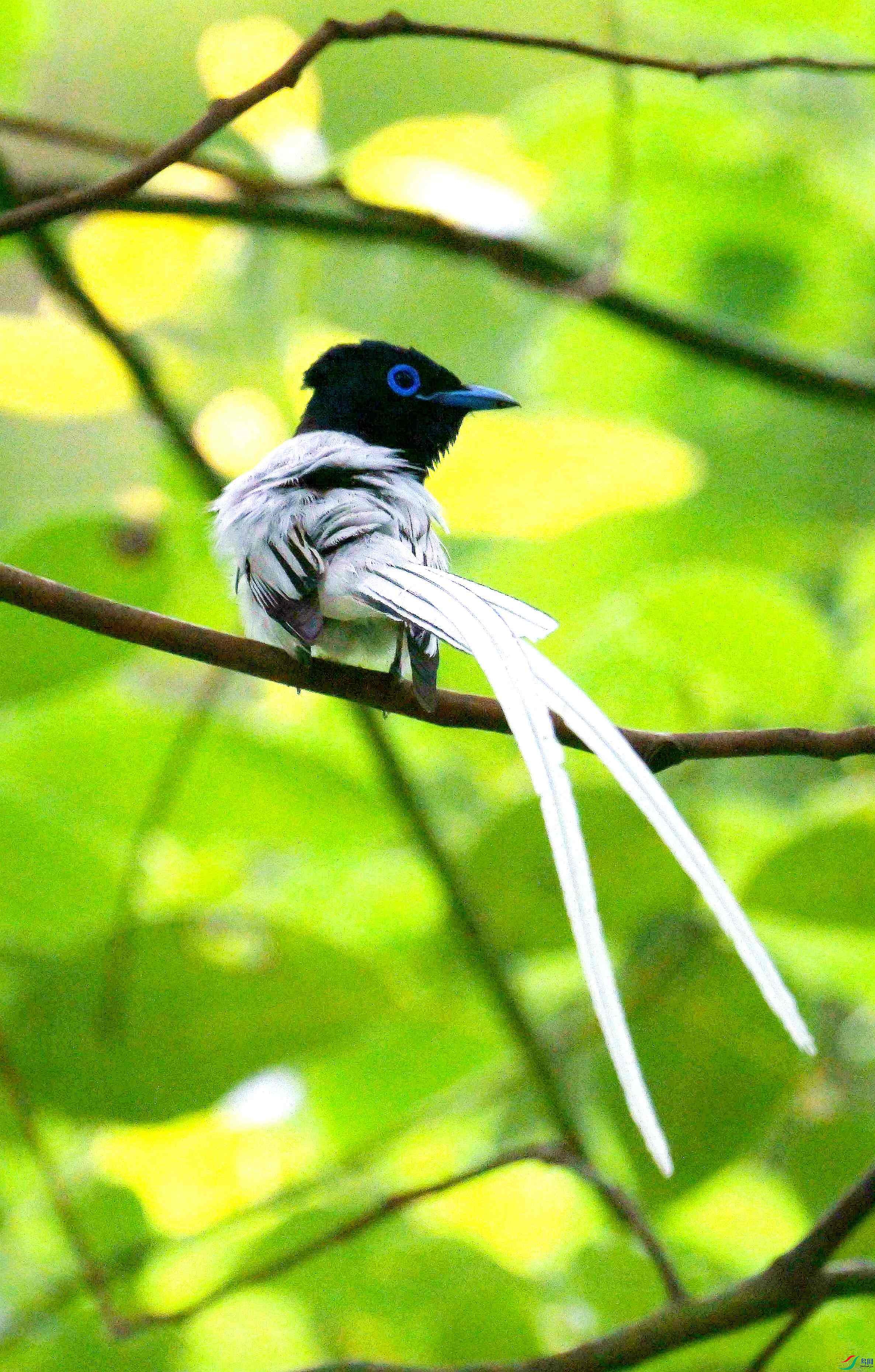 DSC_9189.jpg