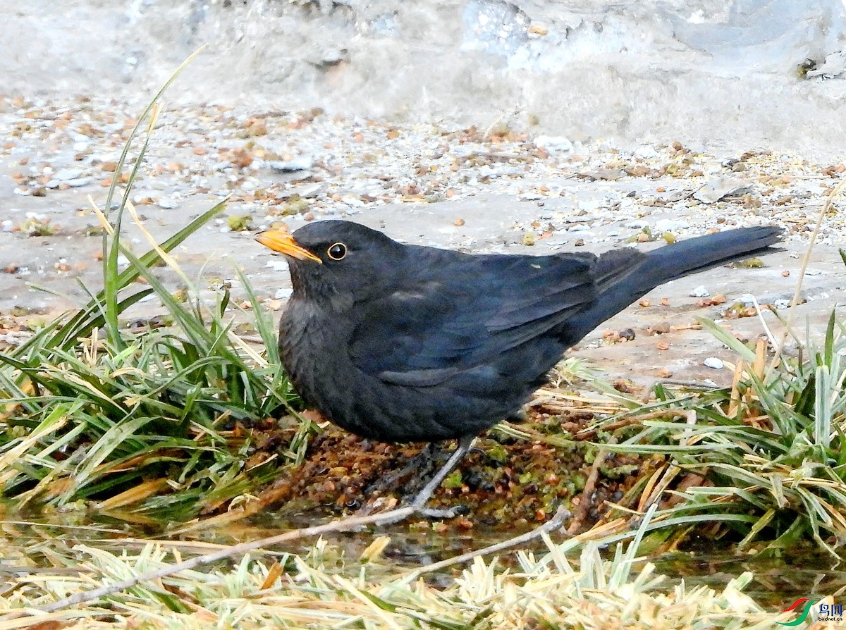 2026-129���.JPG