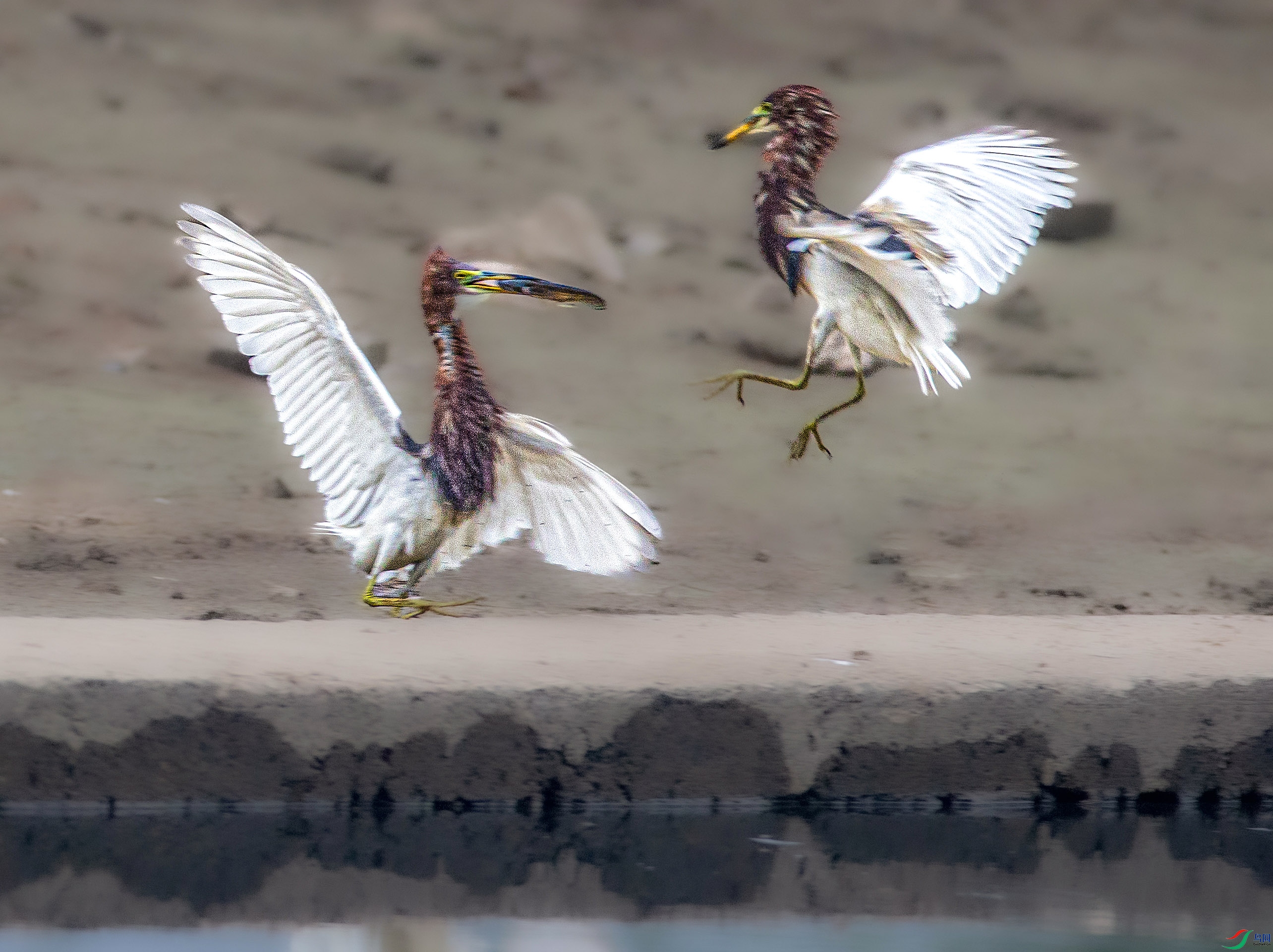 673A7409 (2) ����.jpg