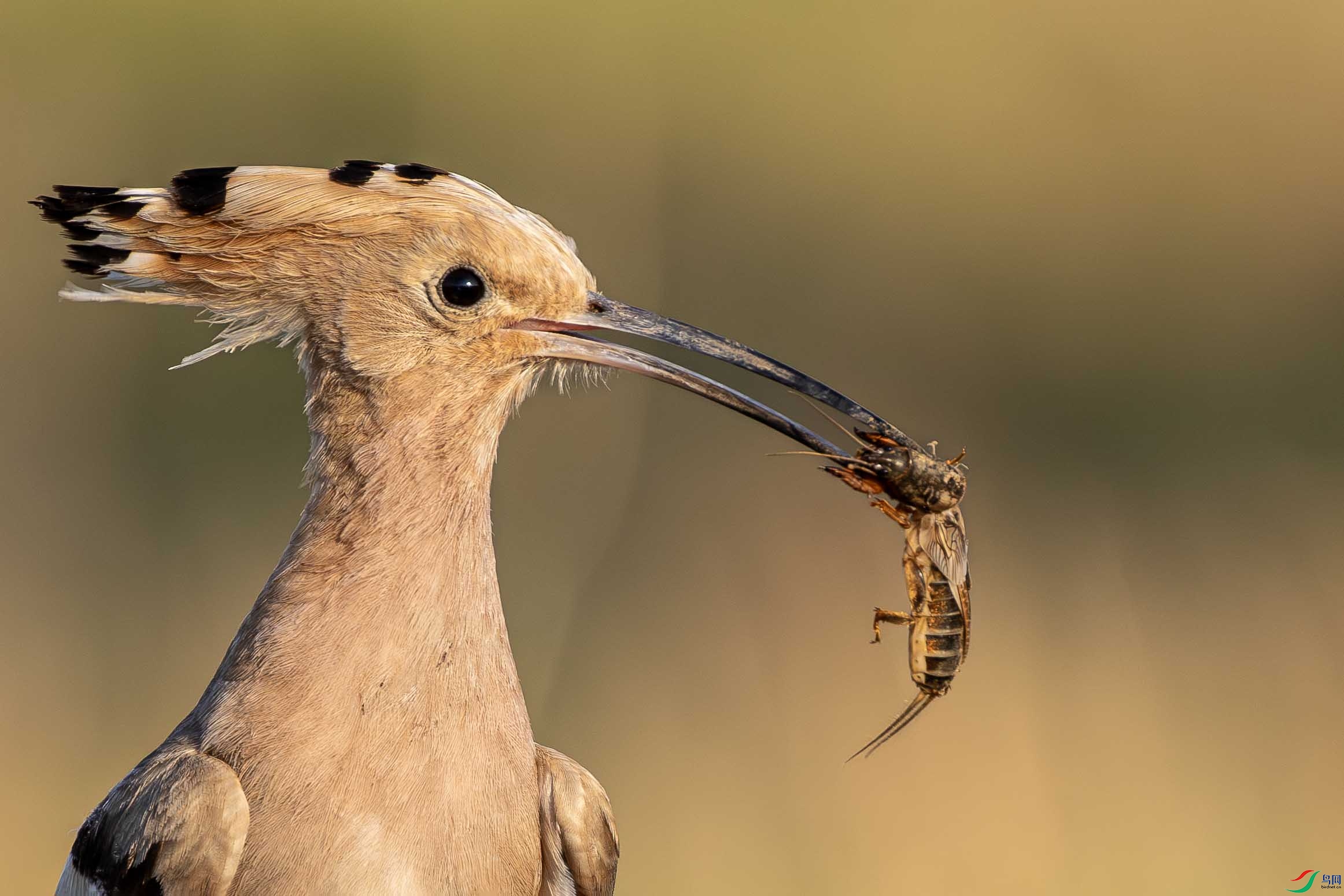 F30A9984 ����.jpg