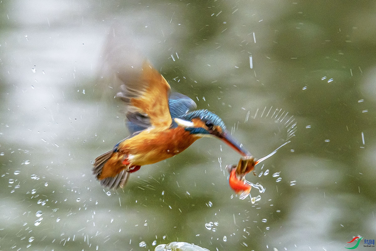 DSC_3895.jpg