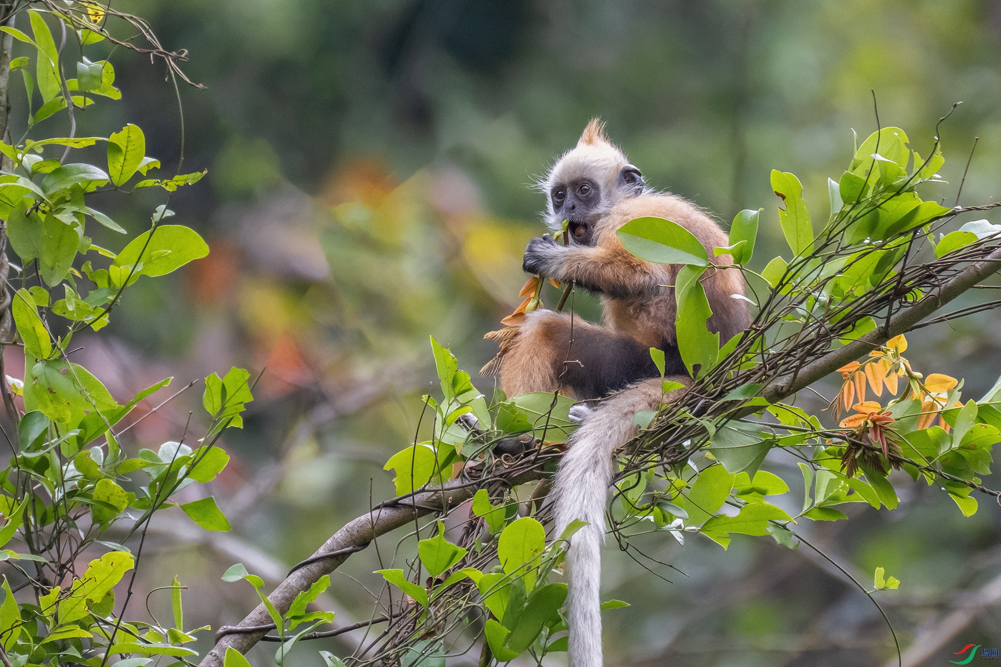 DSC_1115 ����1.jpg