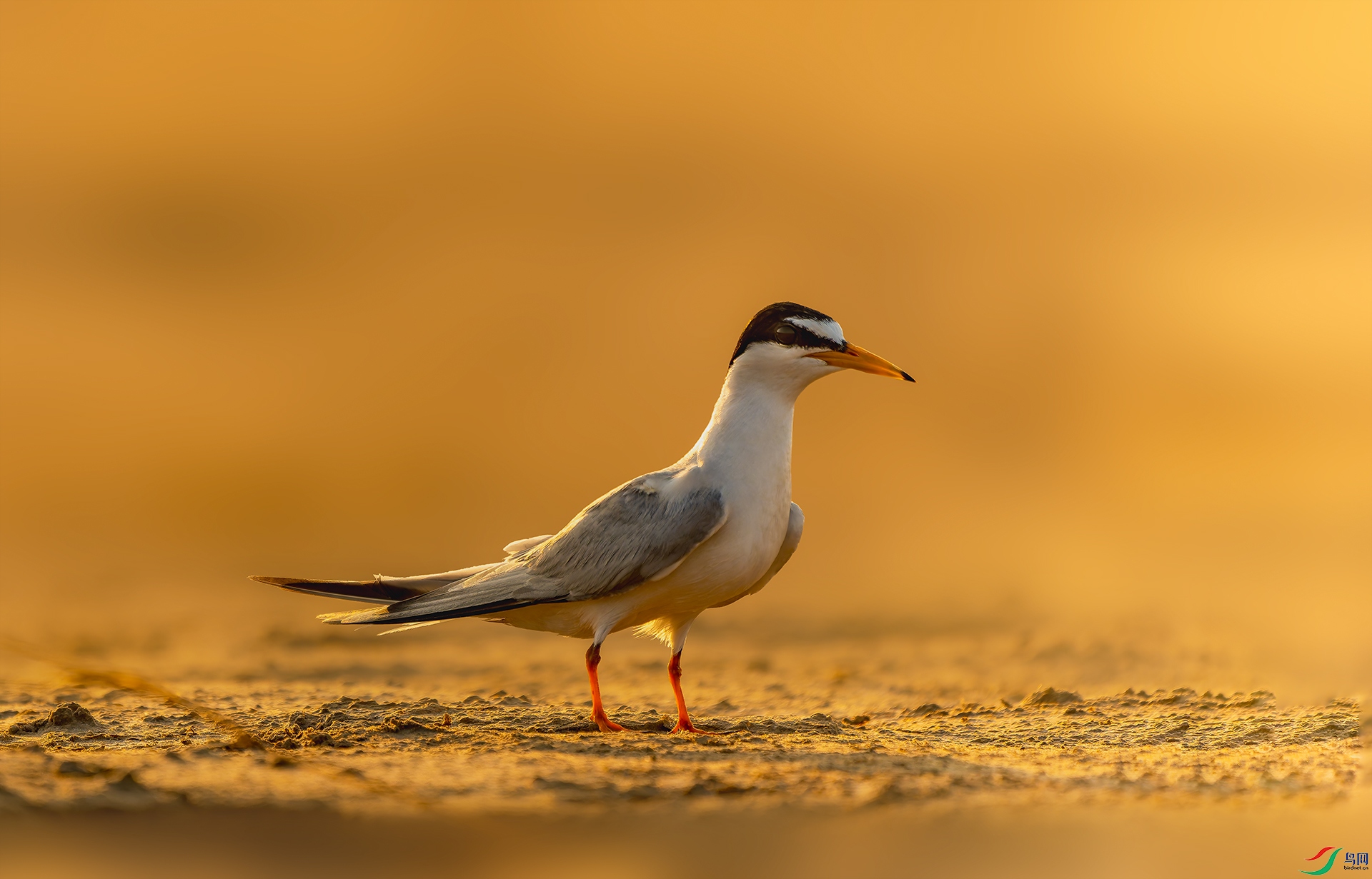 20240628-DSC01043 ����.jpg