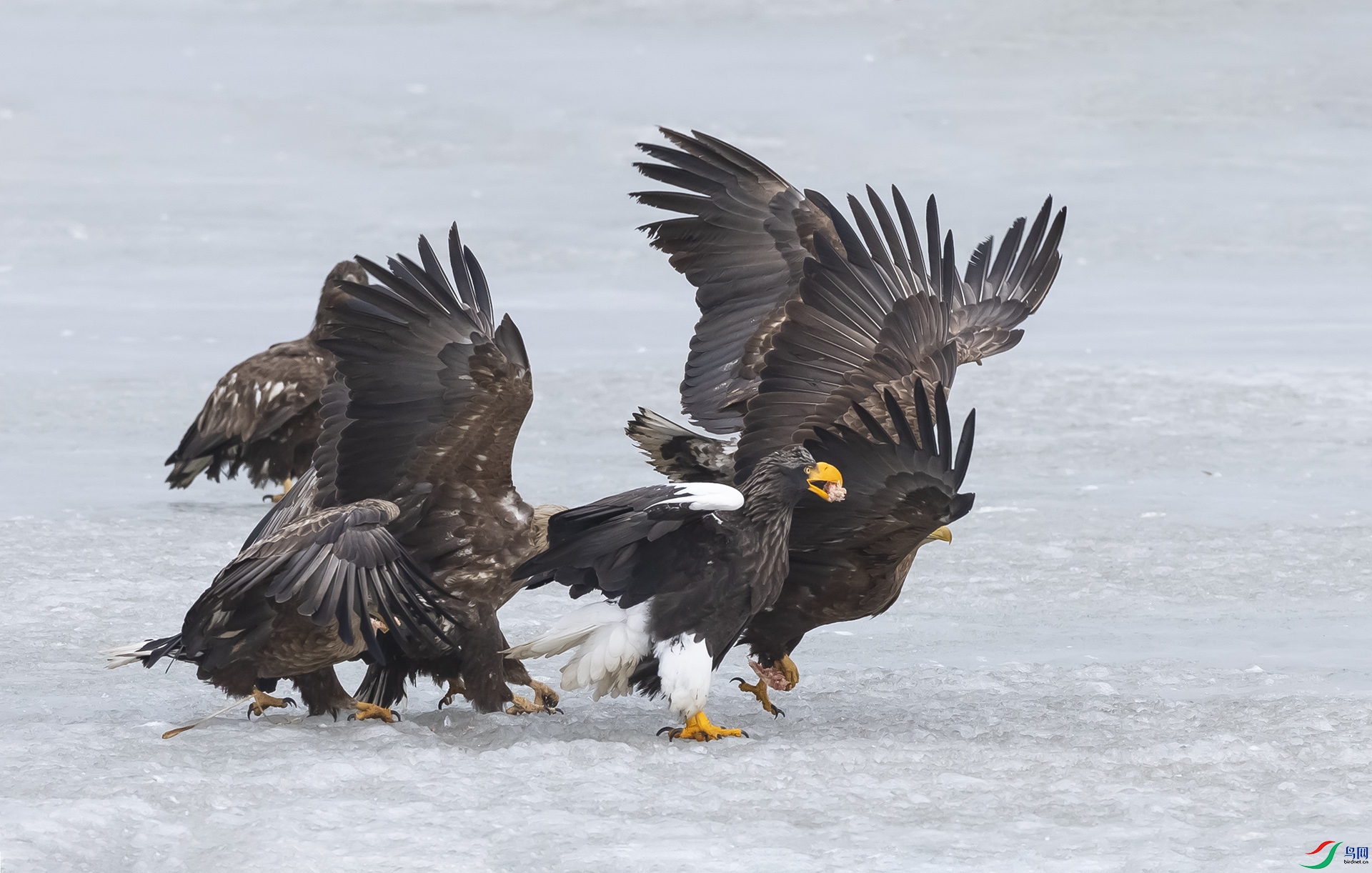 019A0046 ����2.jpg