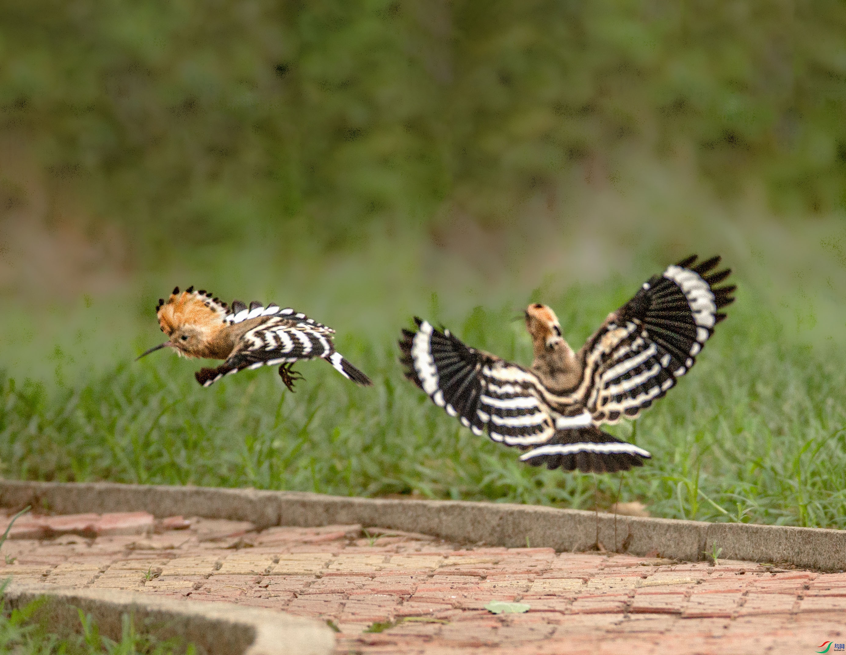 673A0001 ����.jpg