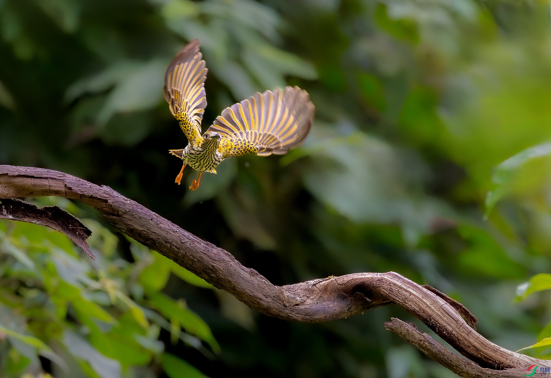 _26_2342 ����.jpg