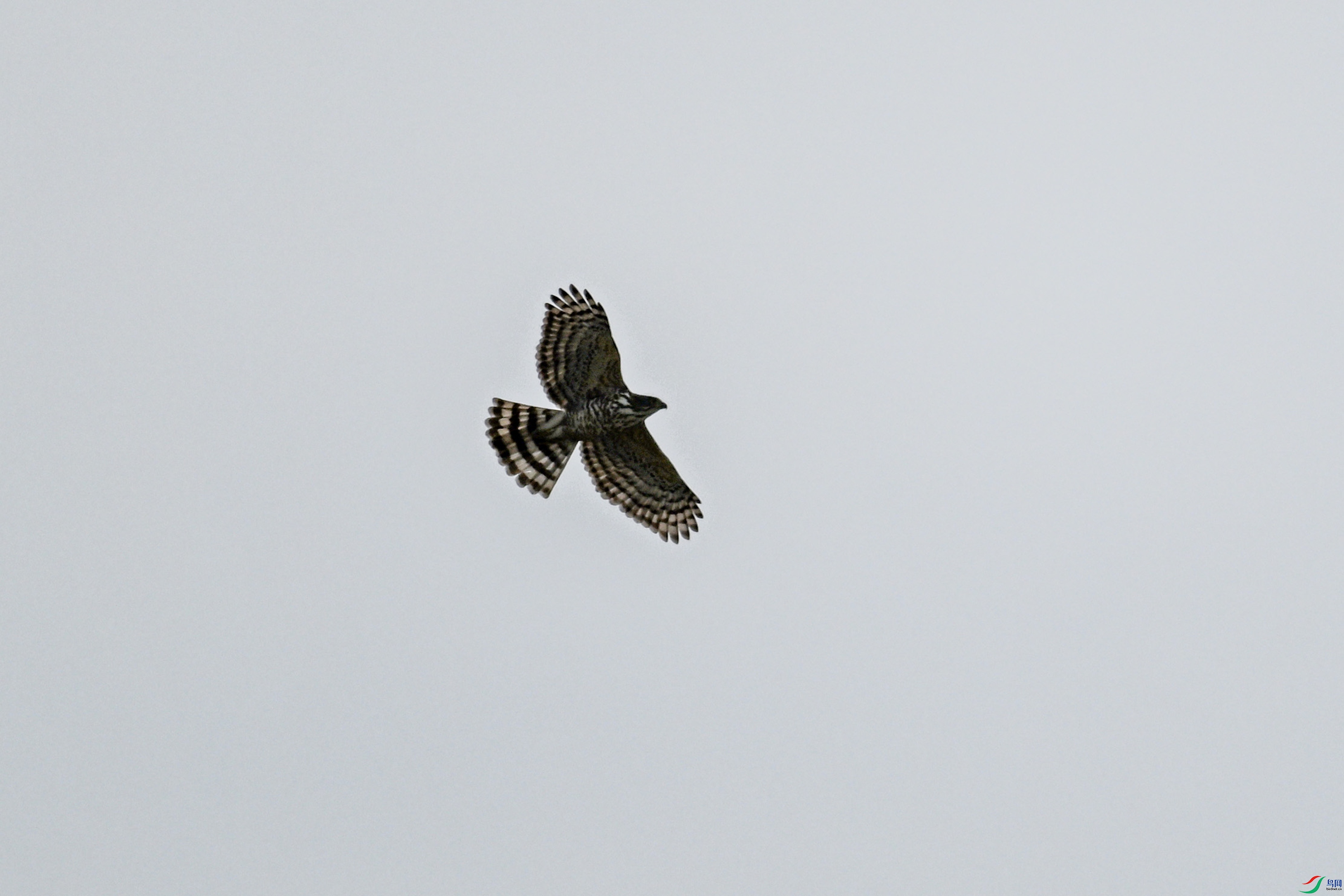 DSC_9118.JPG