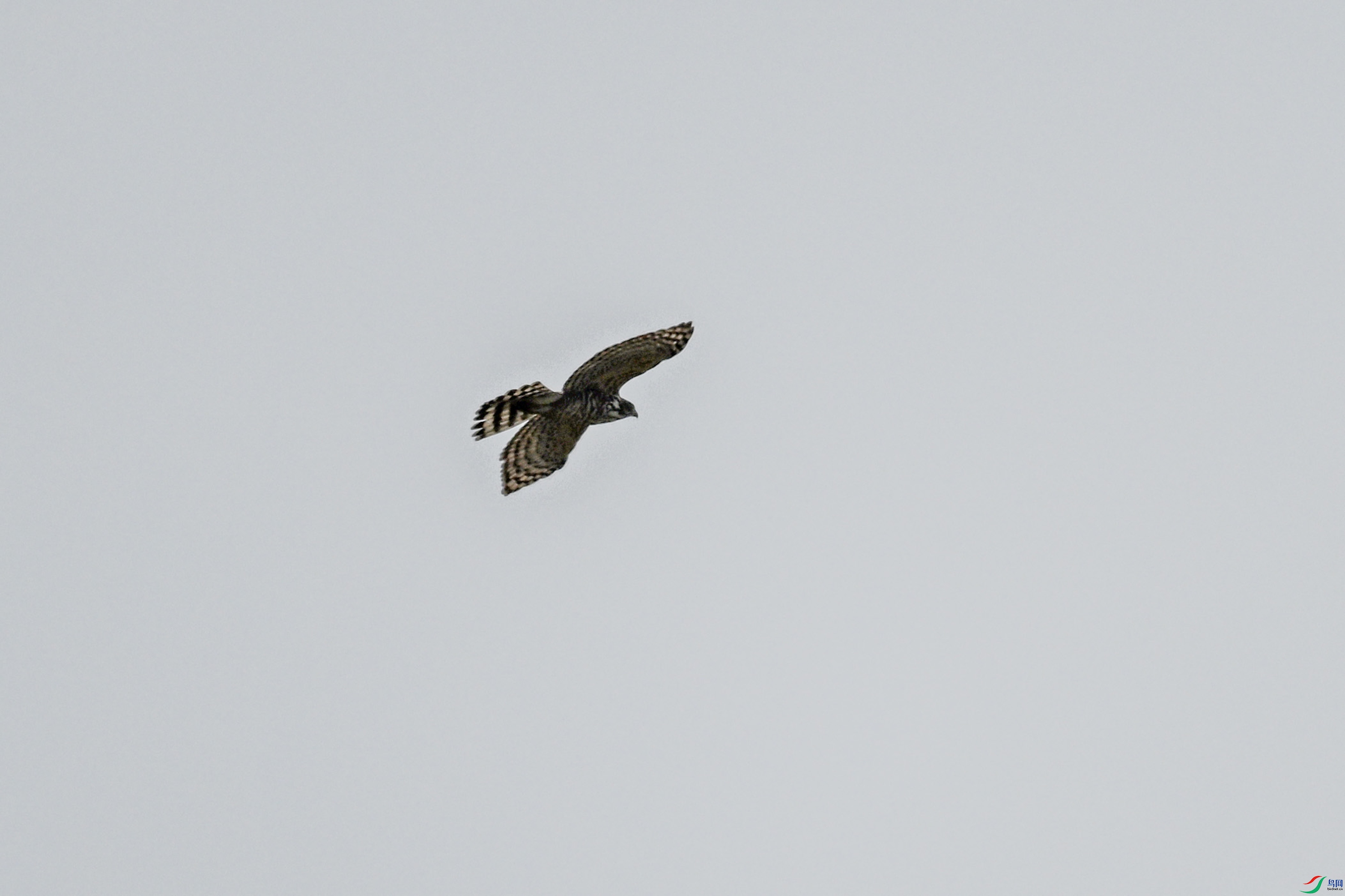 DSC_9101.JPG