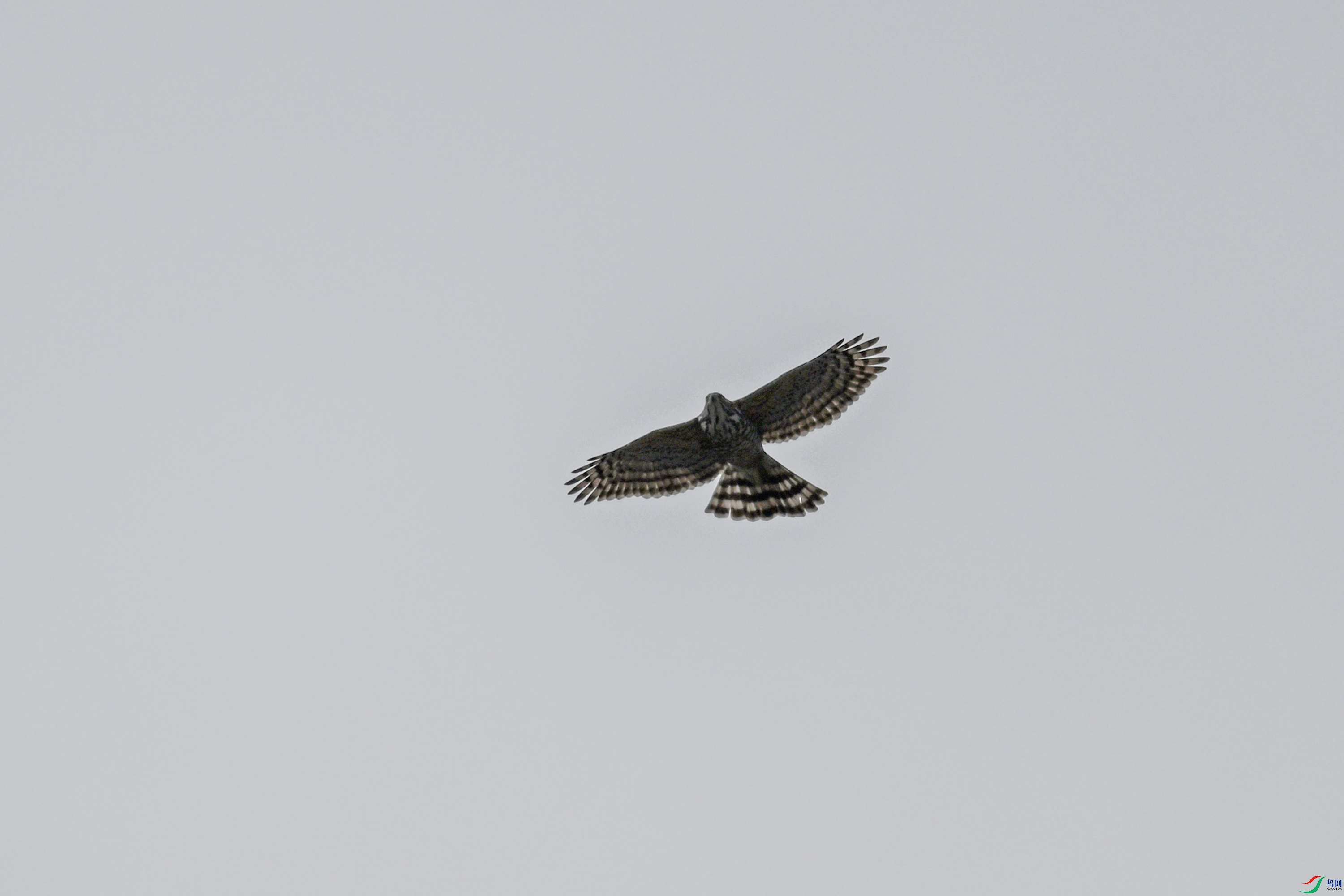 DSC_9181.JPG