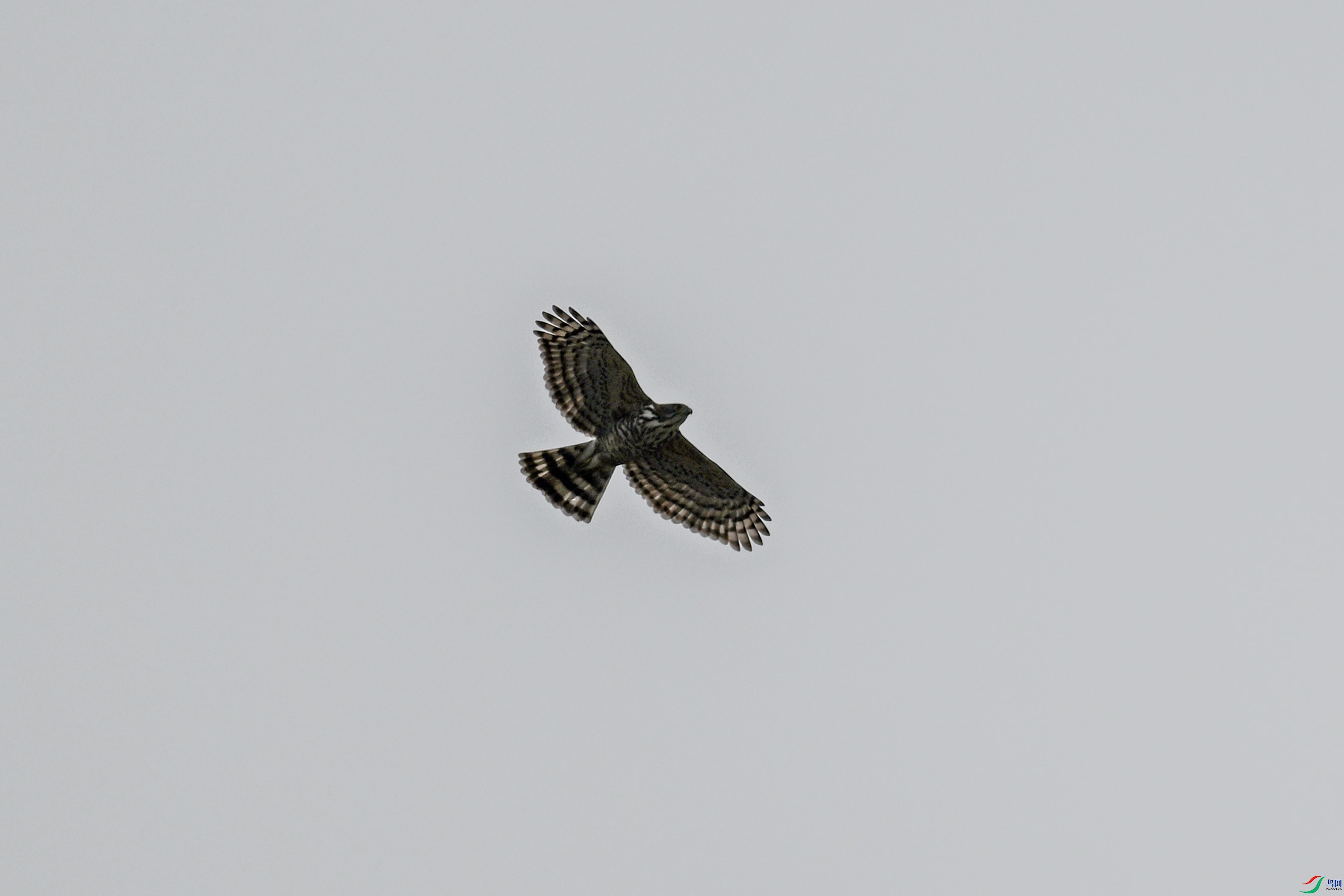 DSC_9131.JPG