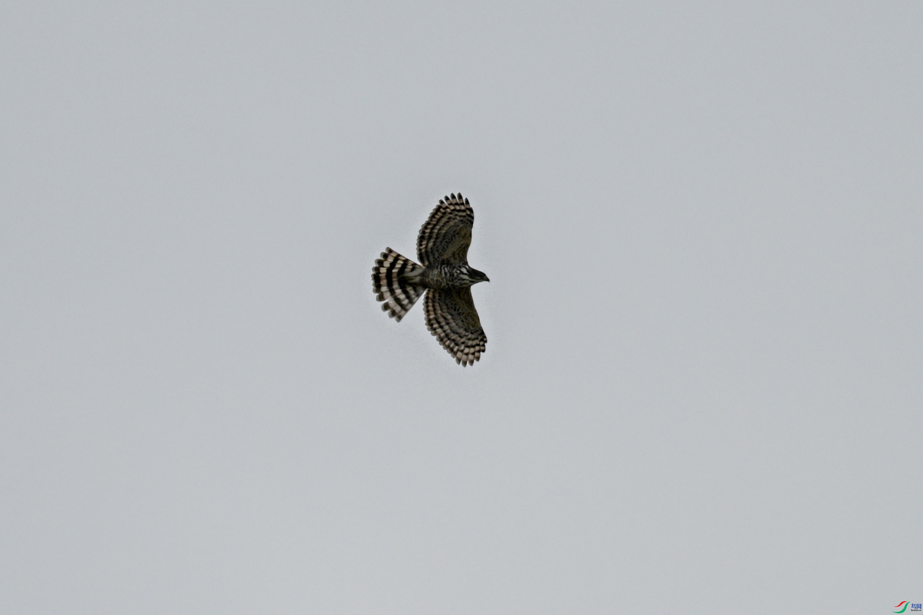 DSC_9113.JPG