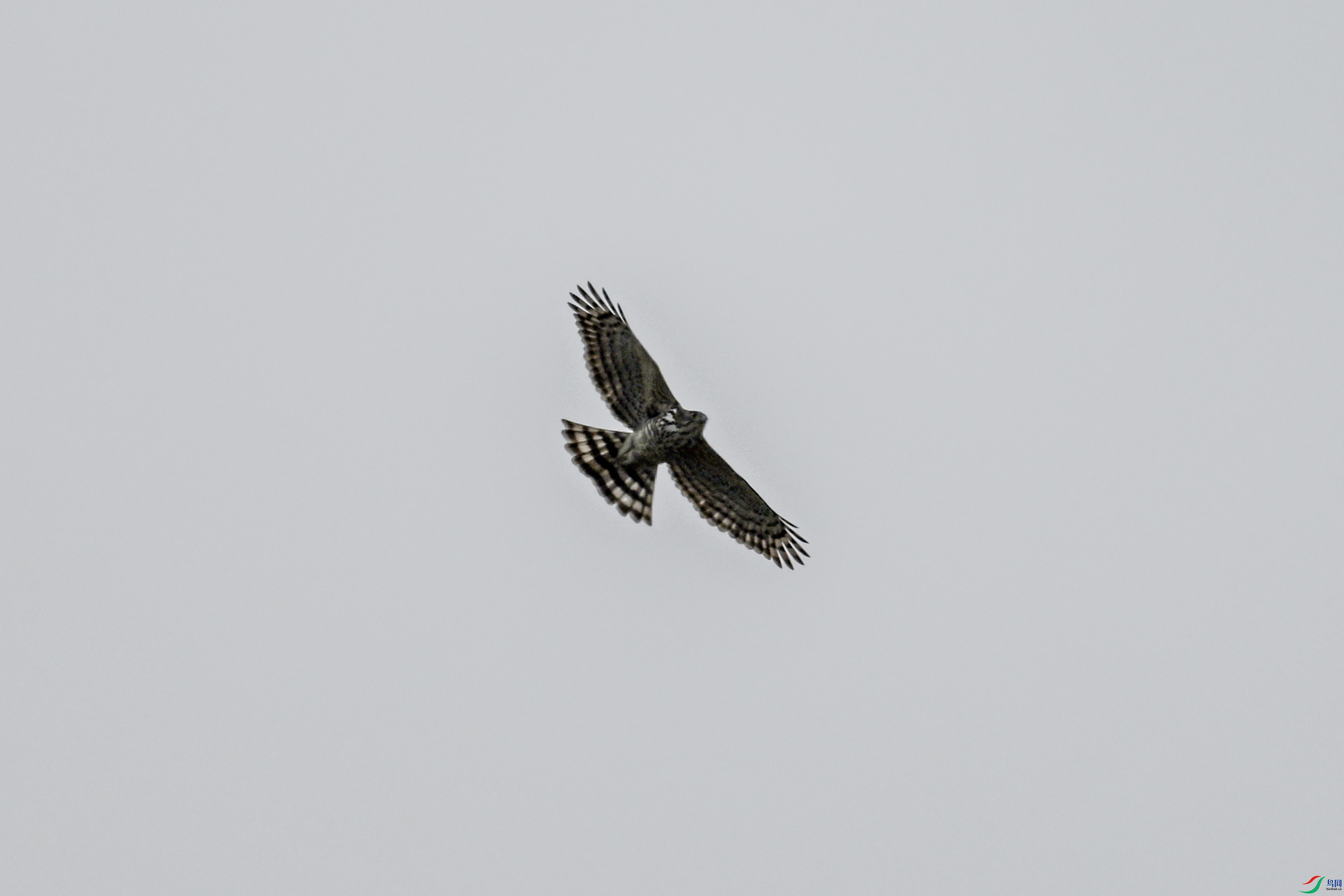 DSC_9133.JPG