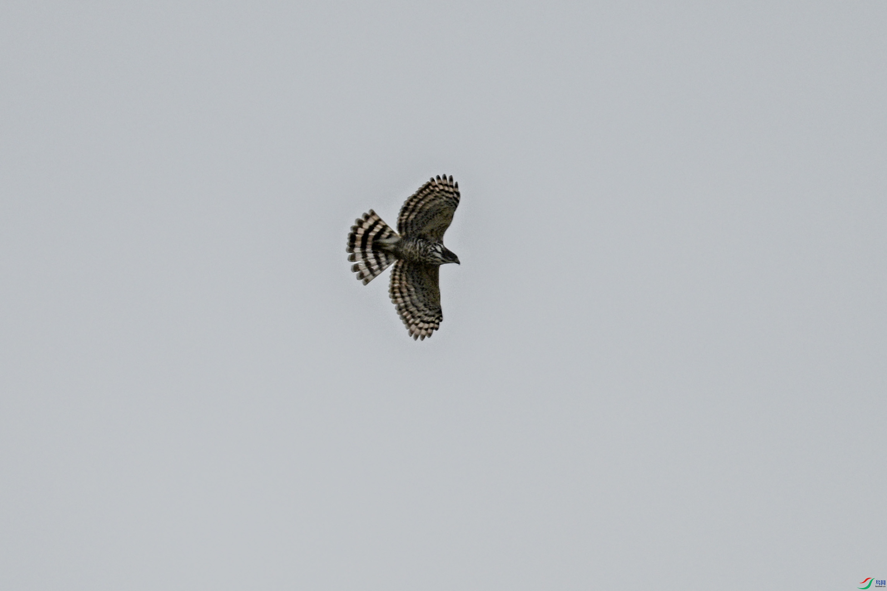 DSC_9114.JPG