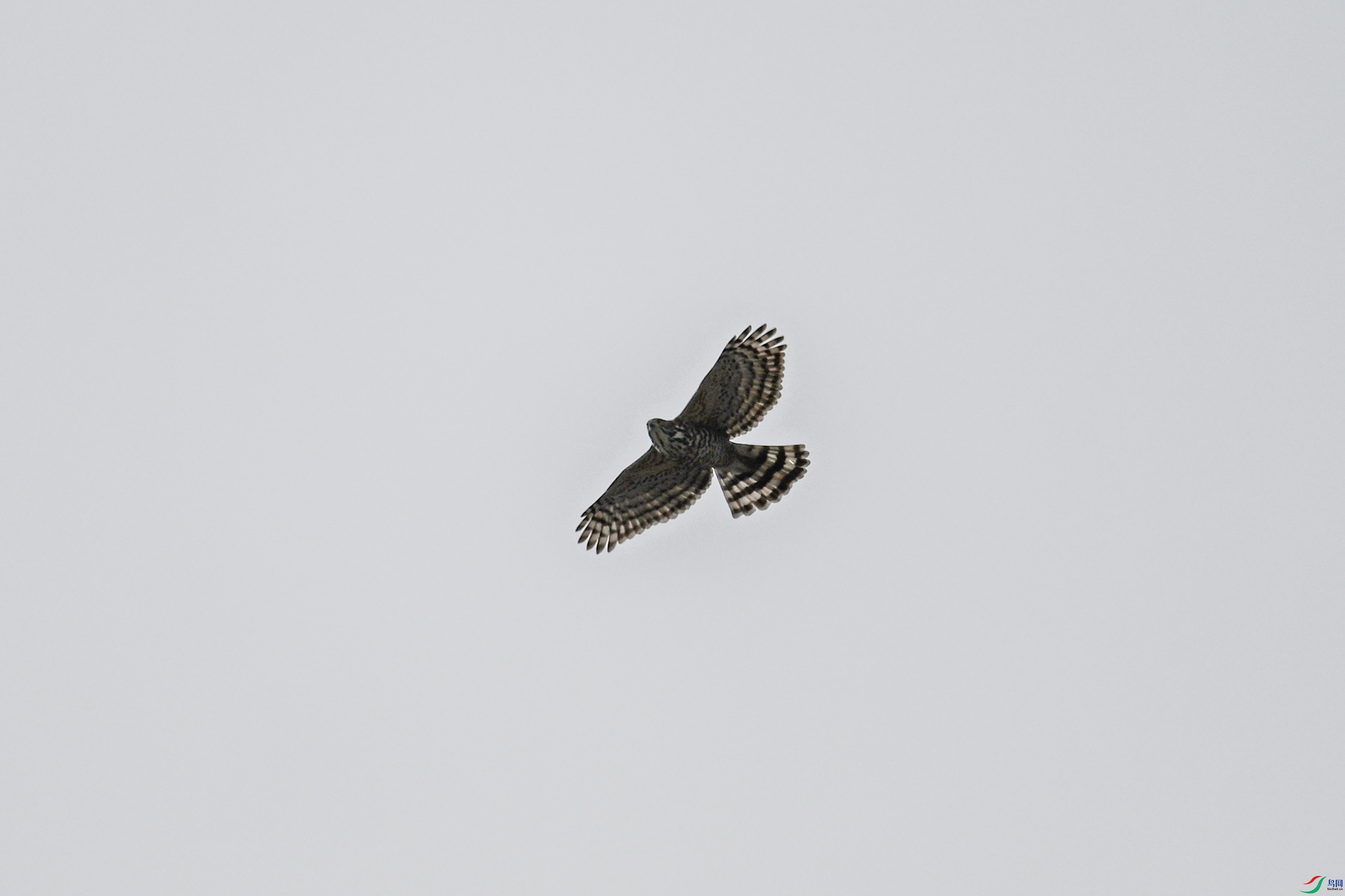 DSC_9153.JPG