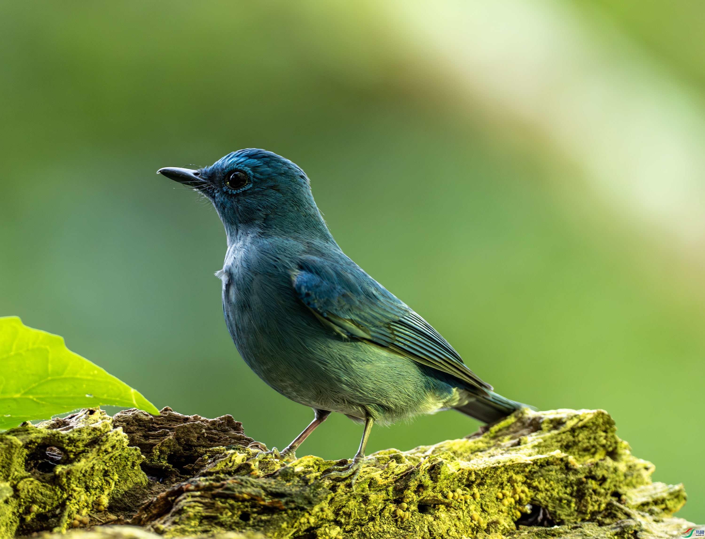 �������l-01-6.jpg