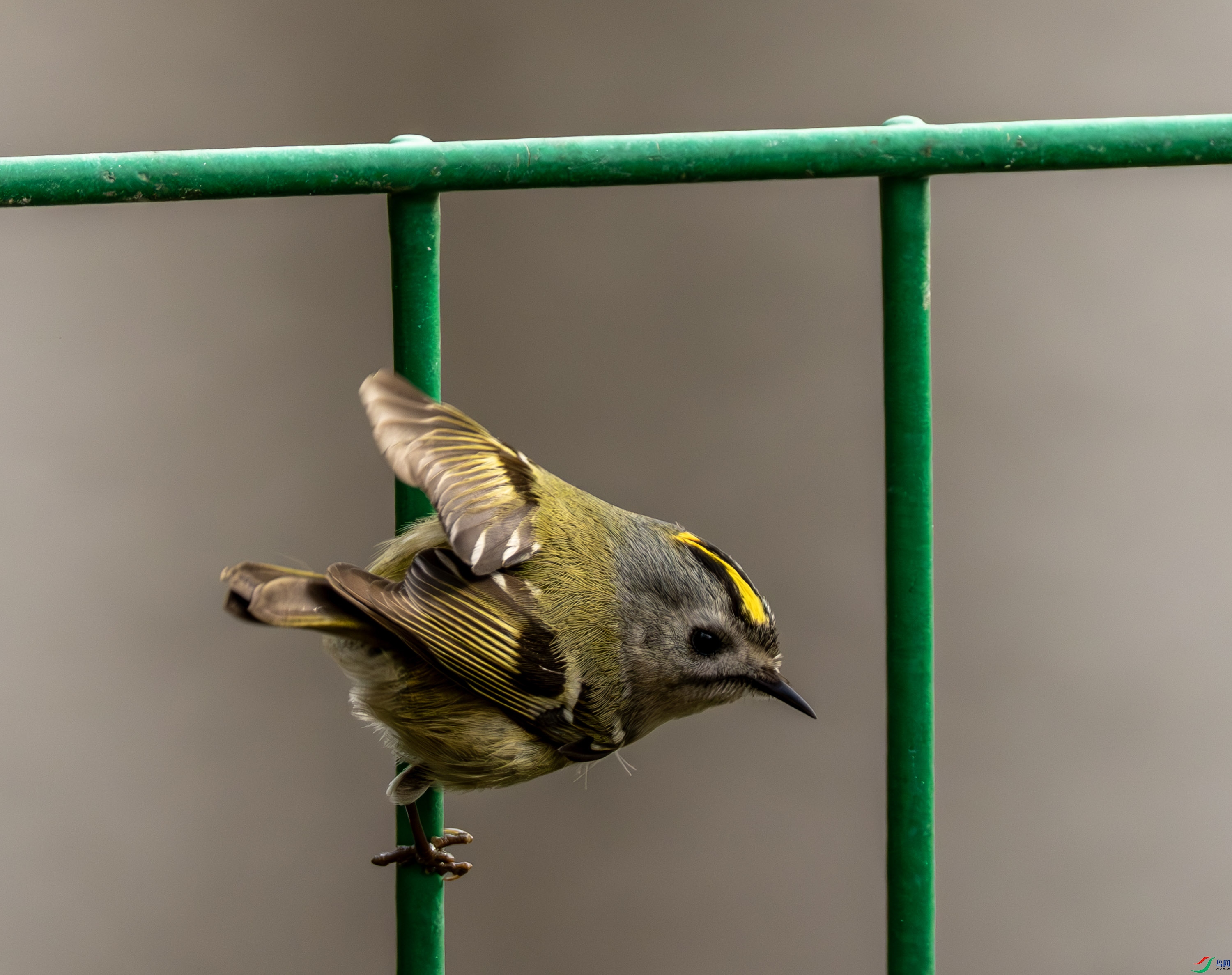 ����-01 (2 - 4).jpg