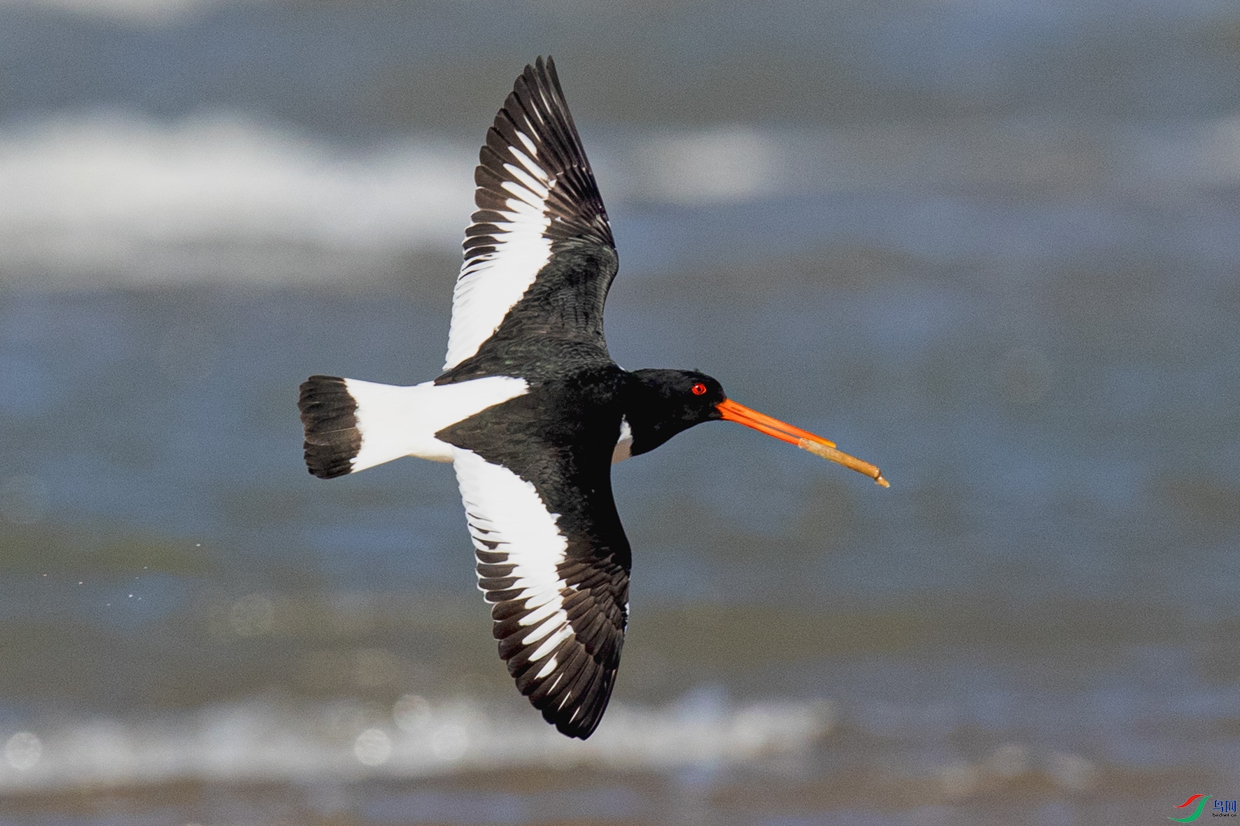 _90I5809 ����.jpg