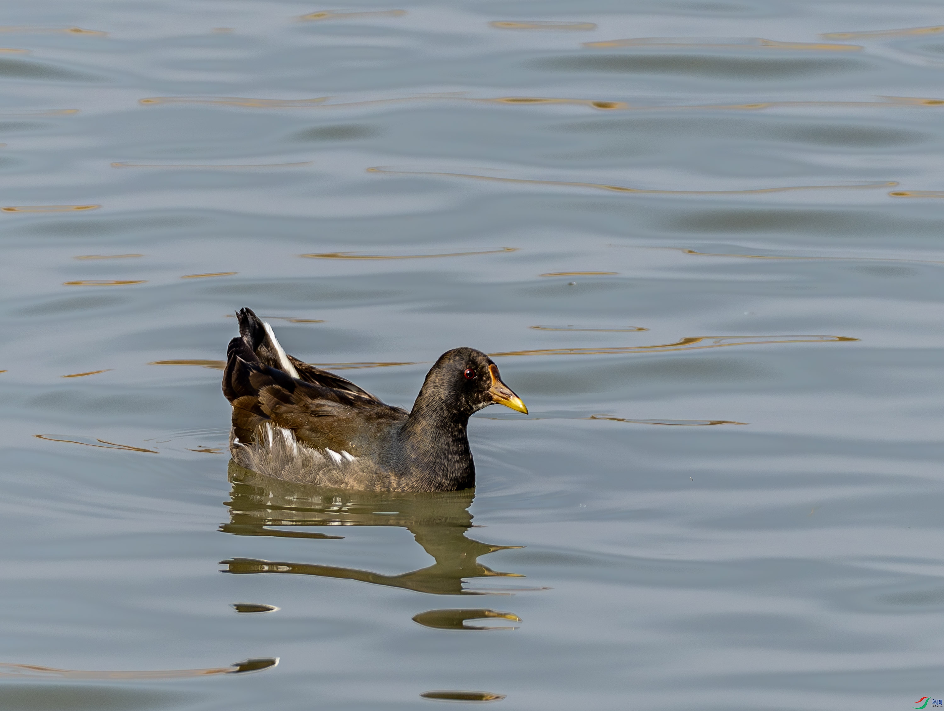 ��ˮ��-01 (2 - 3).jpg