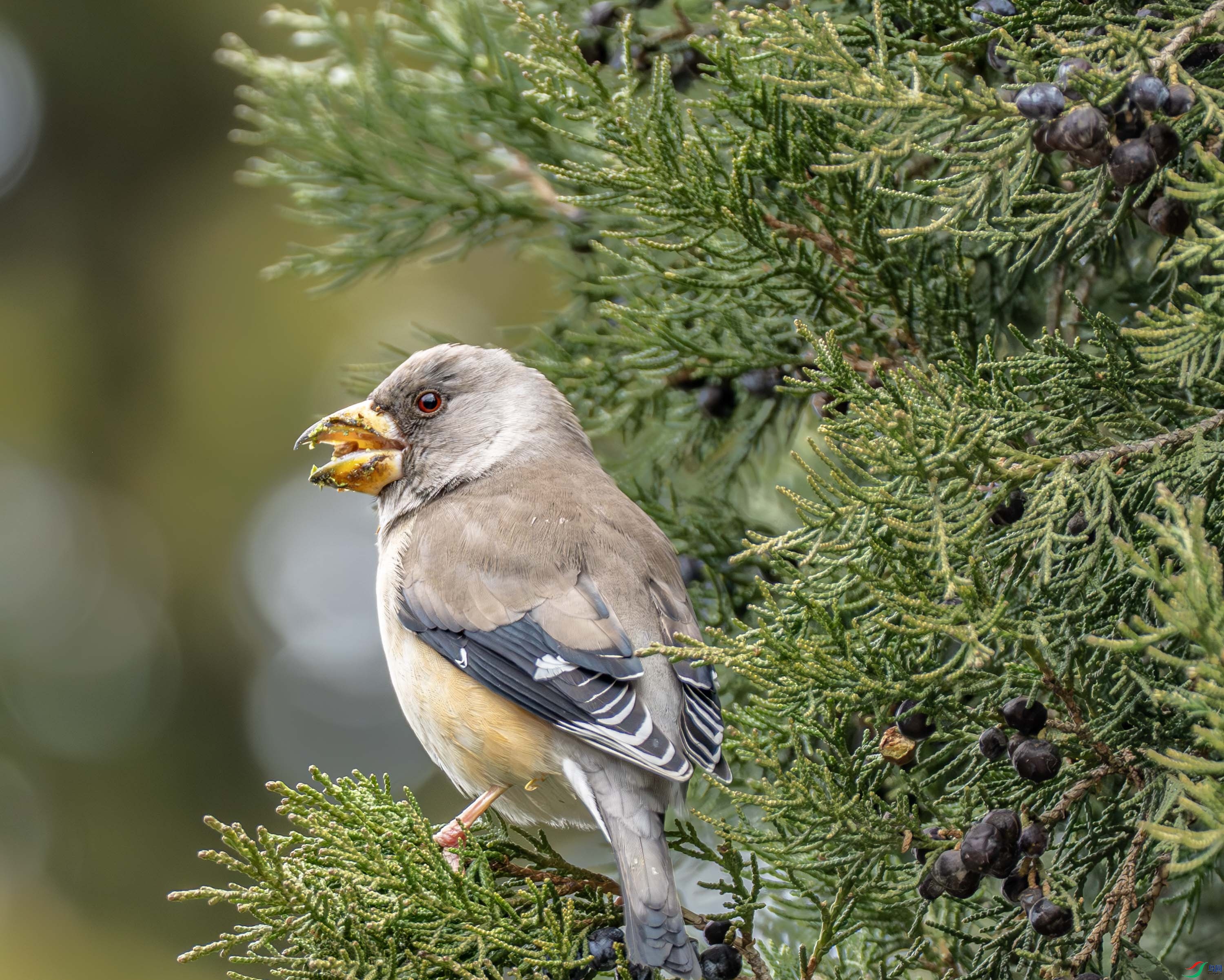 ��β����ȸ-01 (3 - 8).jpg