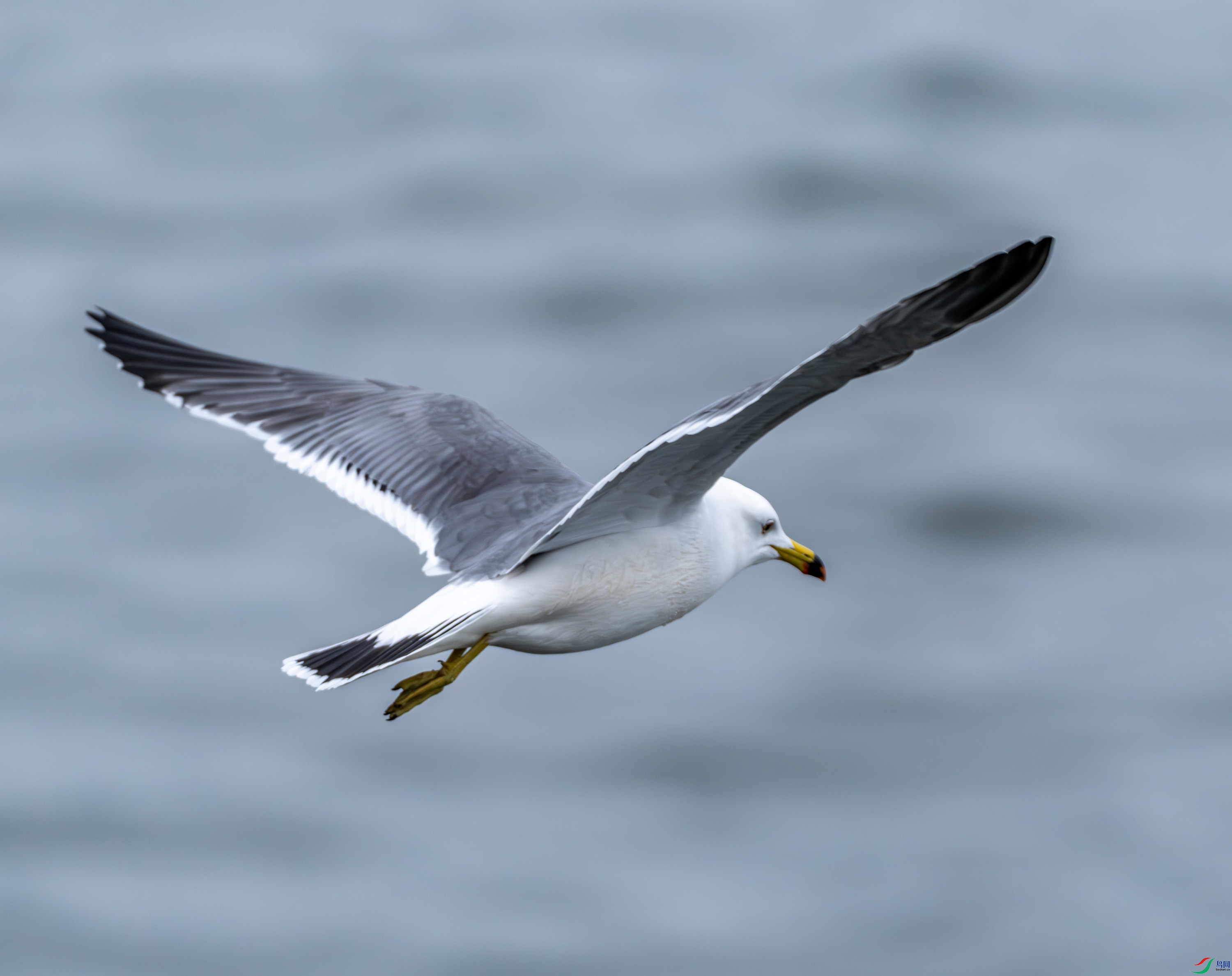 ��βŸ-01 (3 - 3).jpg