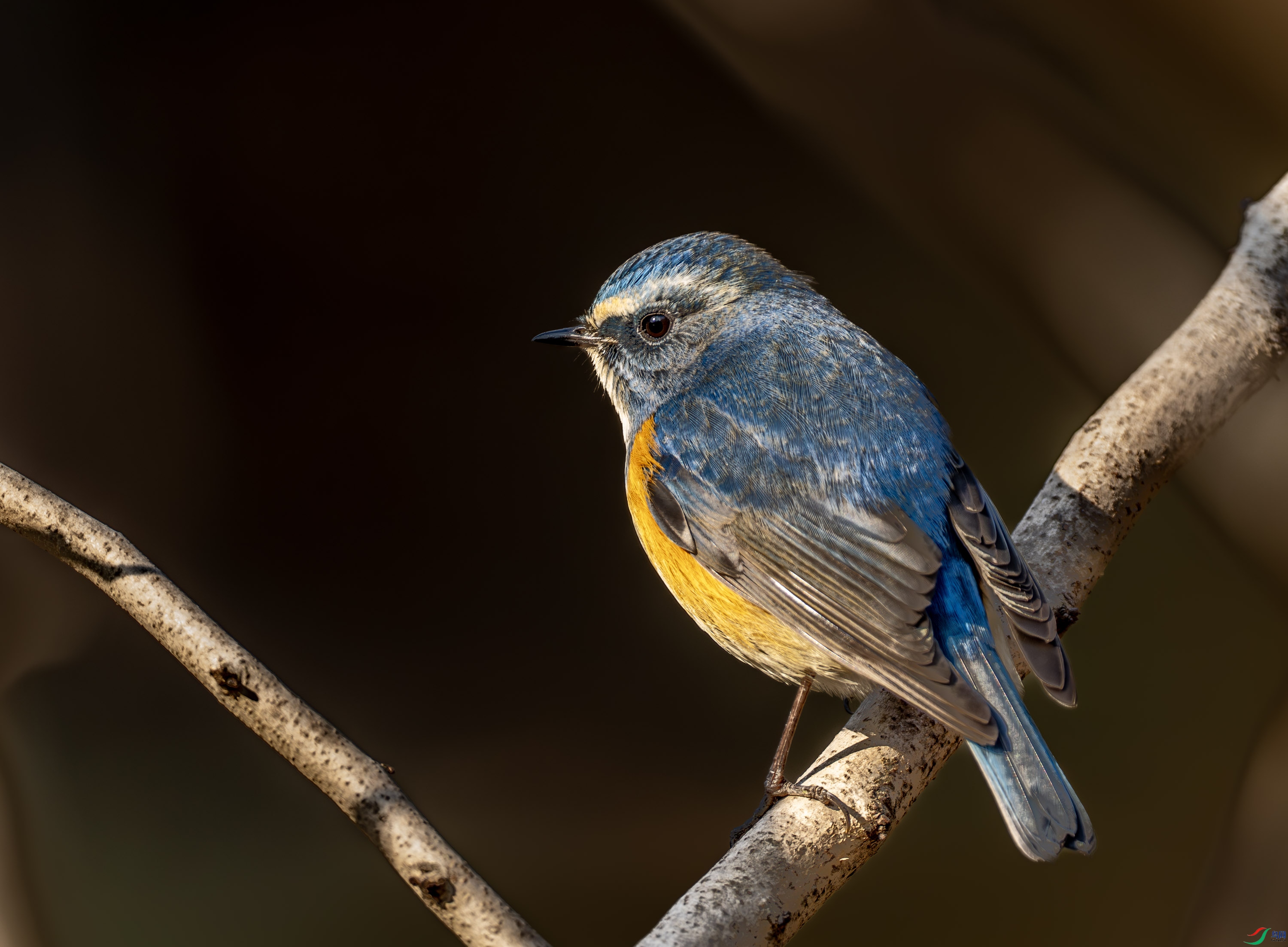 ��в��β�-01 (3 - 7).jpg