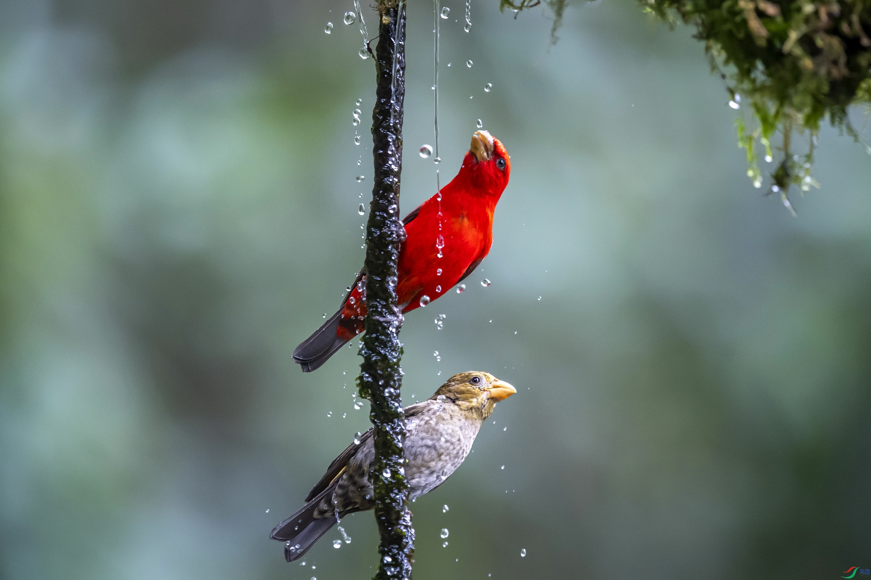 DSC_1565.jpg