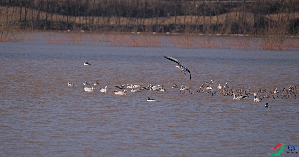 DSCF5395.1.jpg