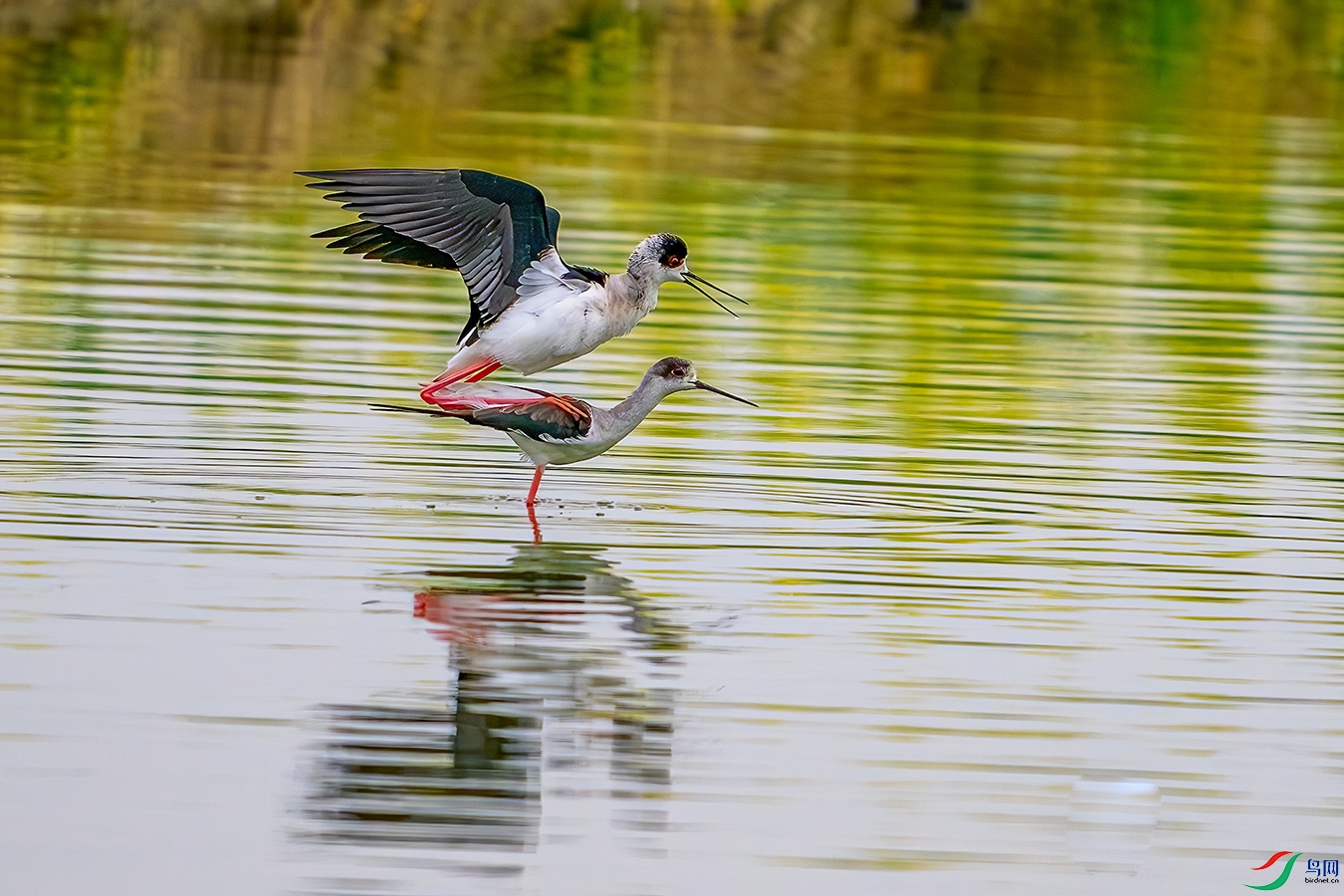 DSC_2190b.jpg