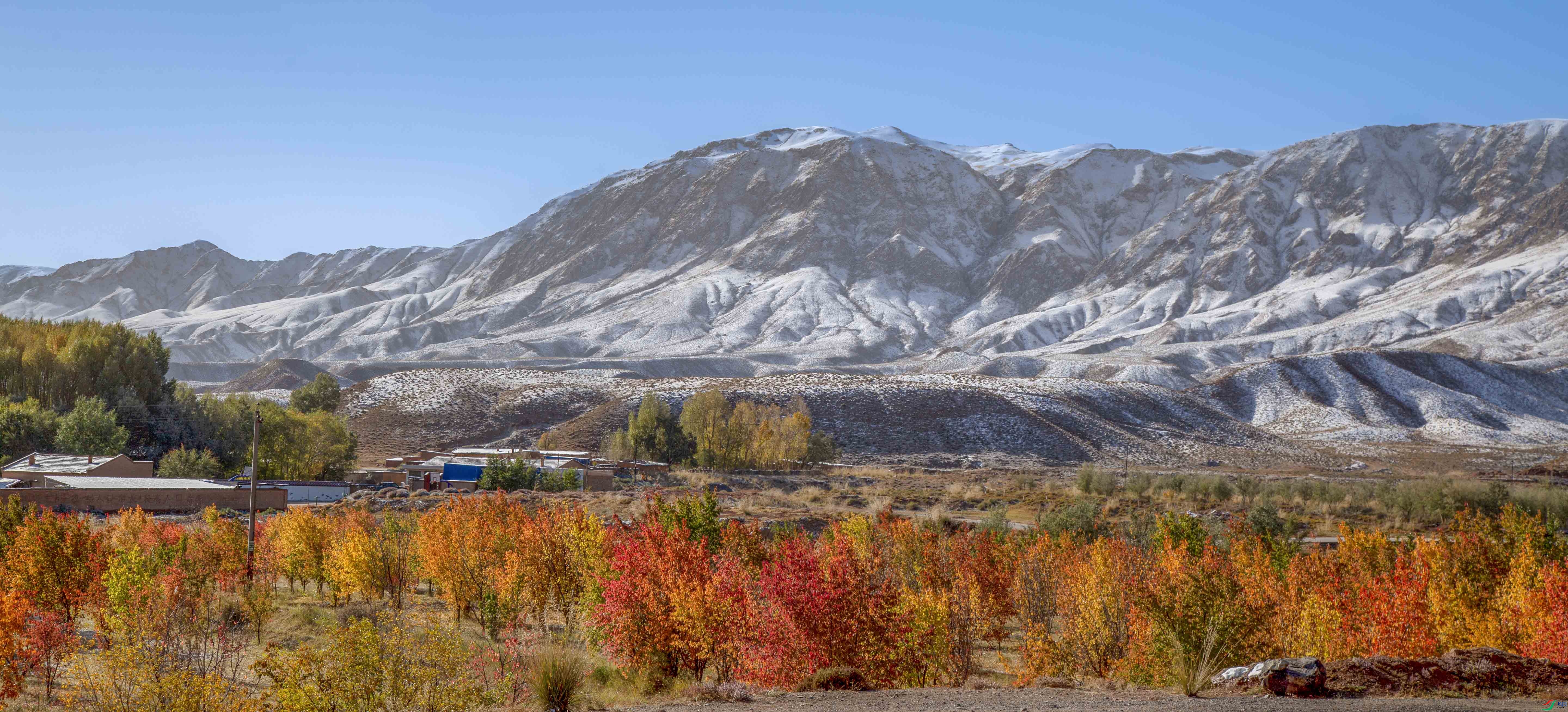 673A3625 ����.jpg