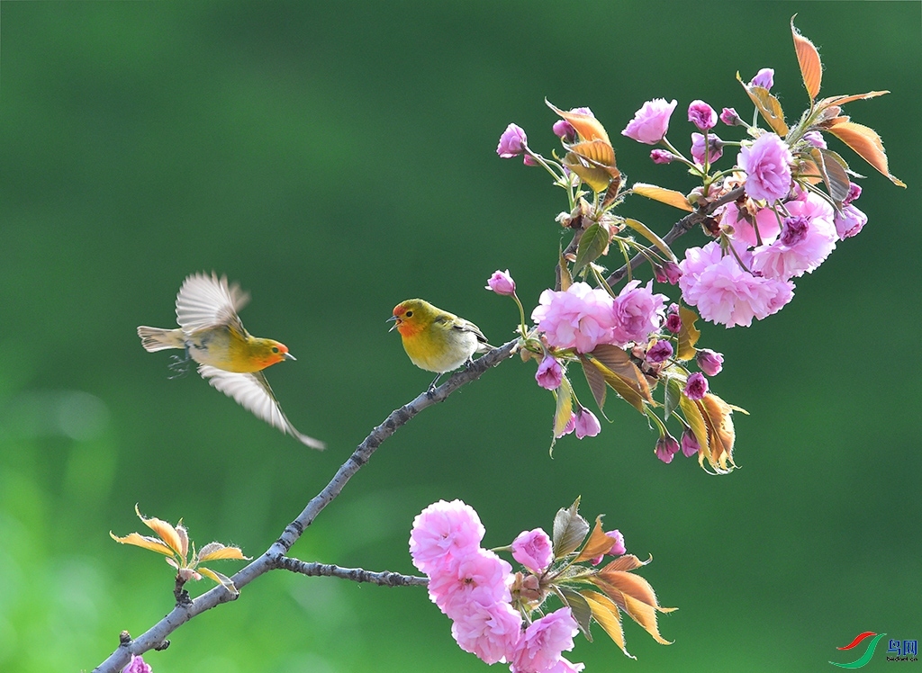 3.1��������ʦ��Ʒ  ���ȸ ��ף���ٻ���Ӱʦ������.jpg