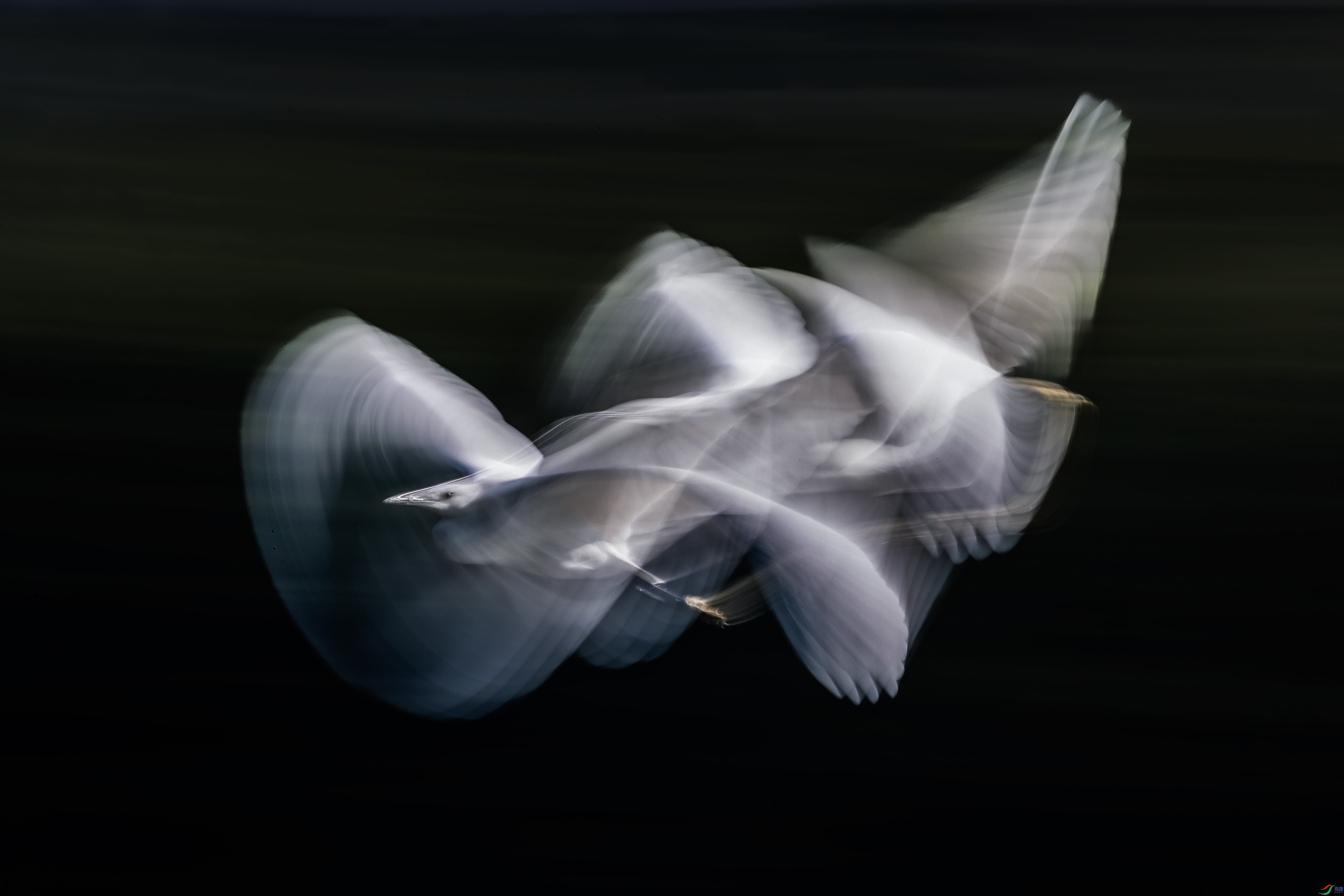 3.2������ʦ��Ʒ  �������� ��ף���ٻ����������.jpg