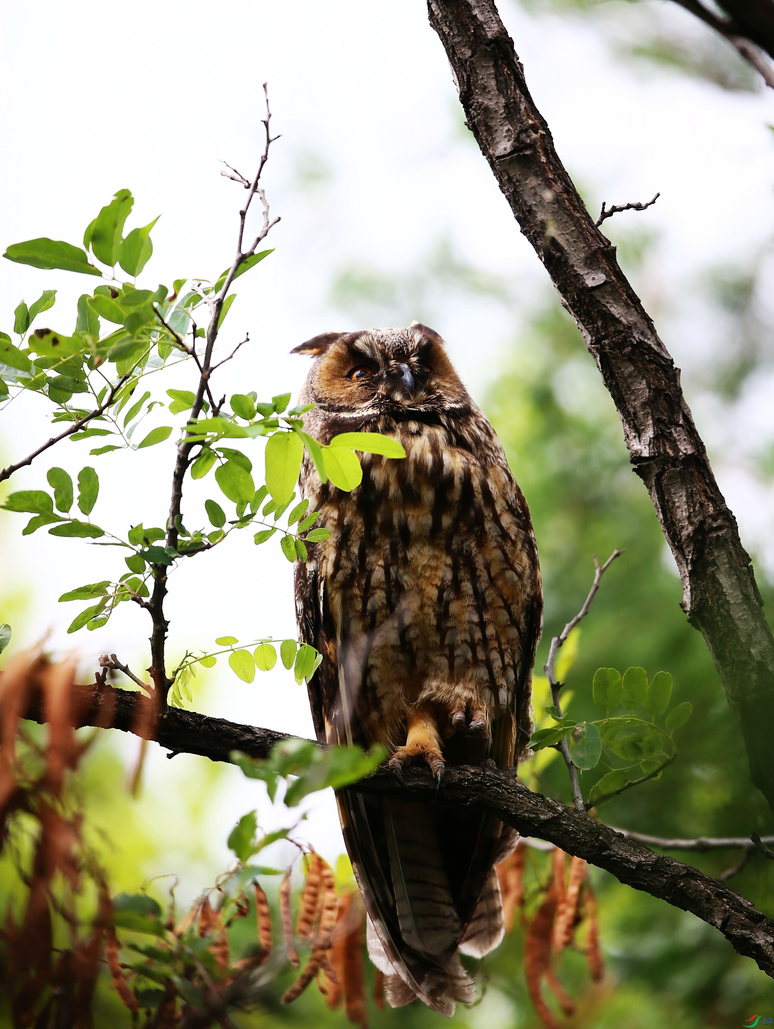 �����^ (59).JPG