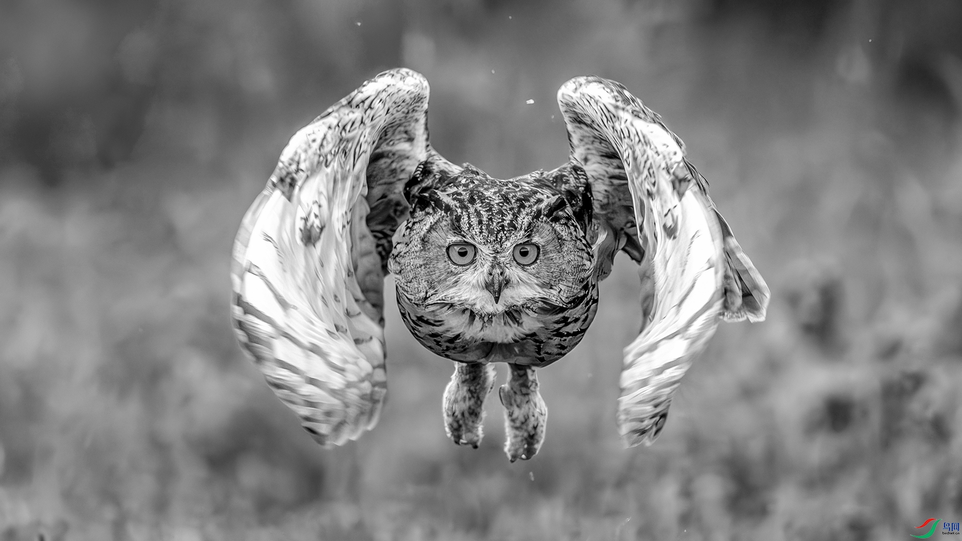 DSC00900 ����H.jpg