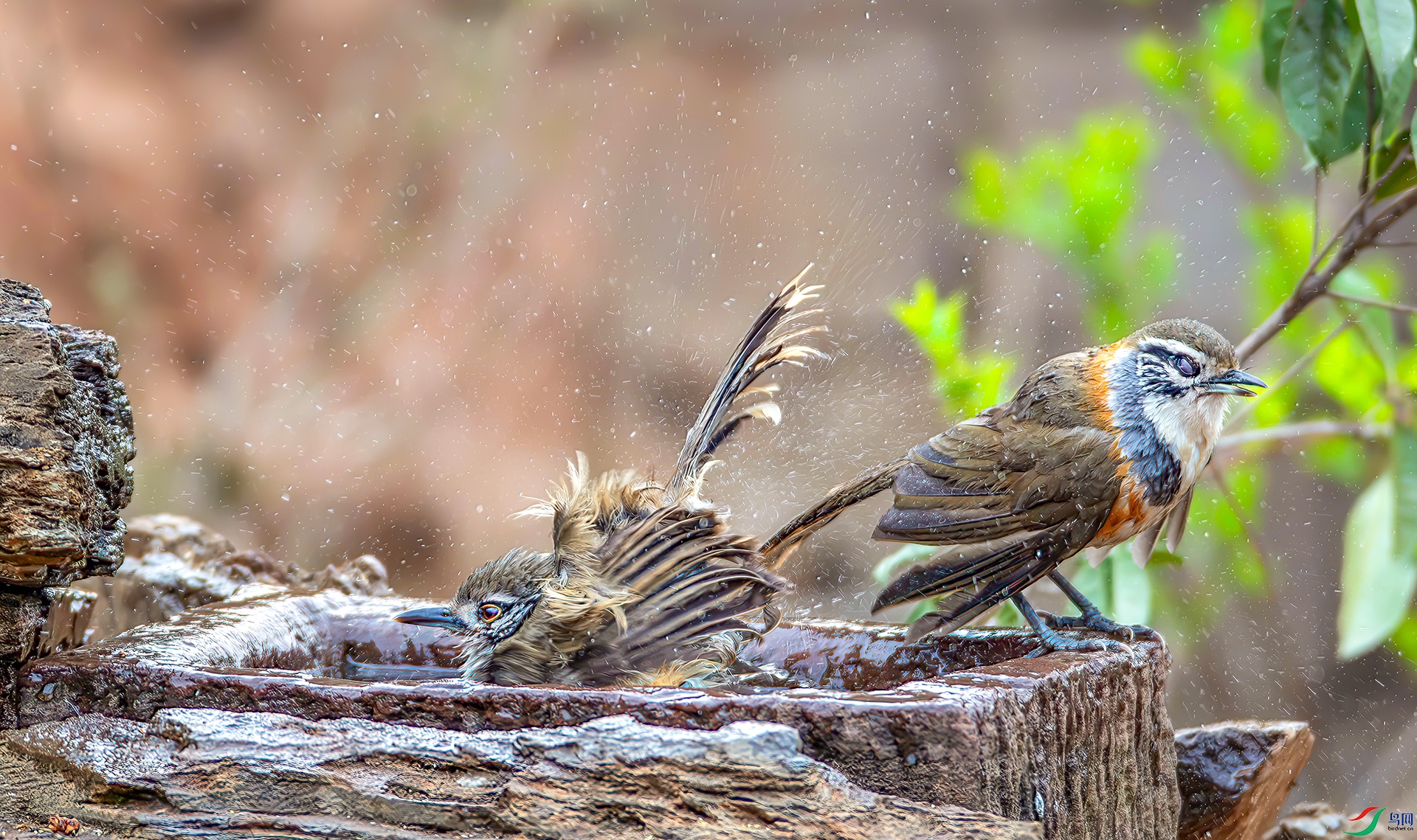 _S7I0091----33  .jpg