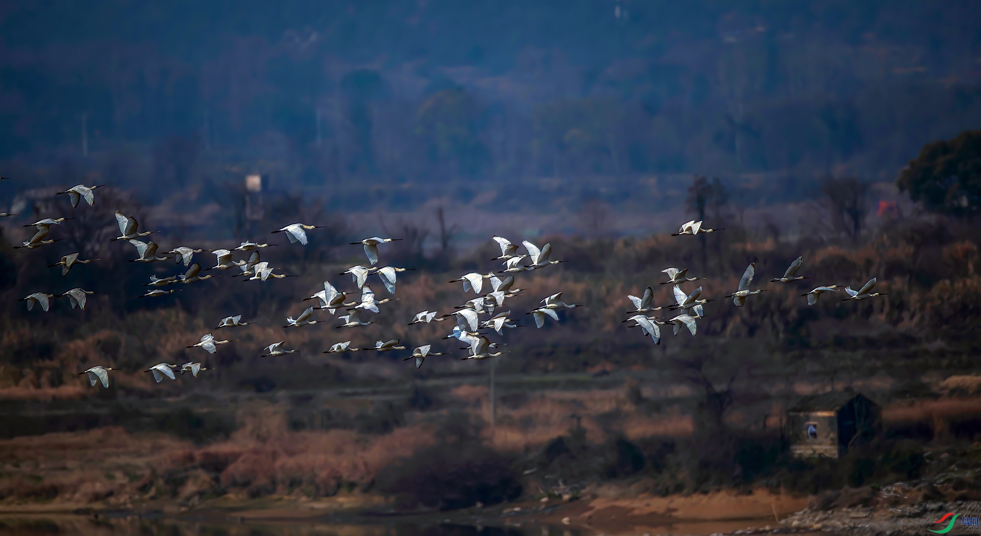 _S7I0777-----33  .jpg