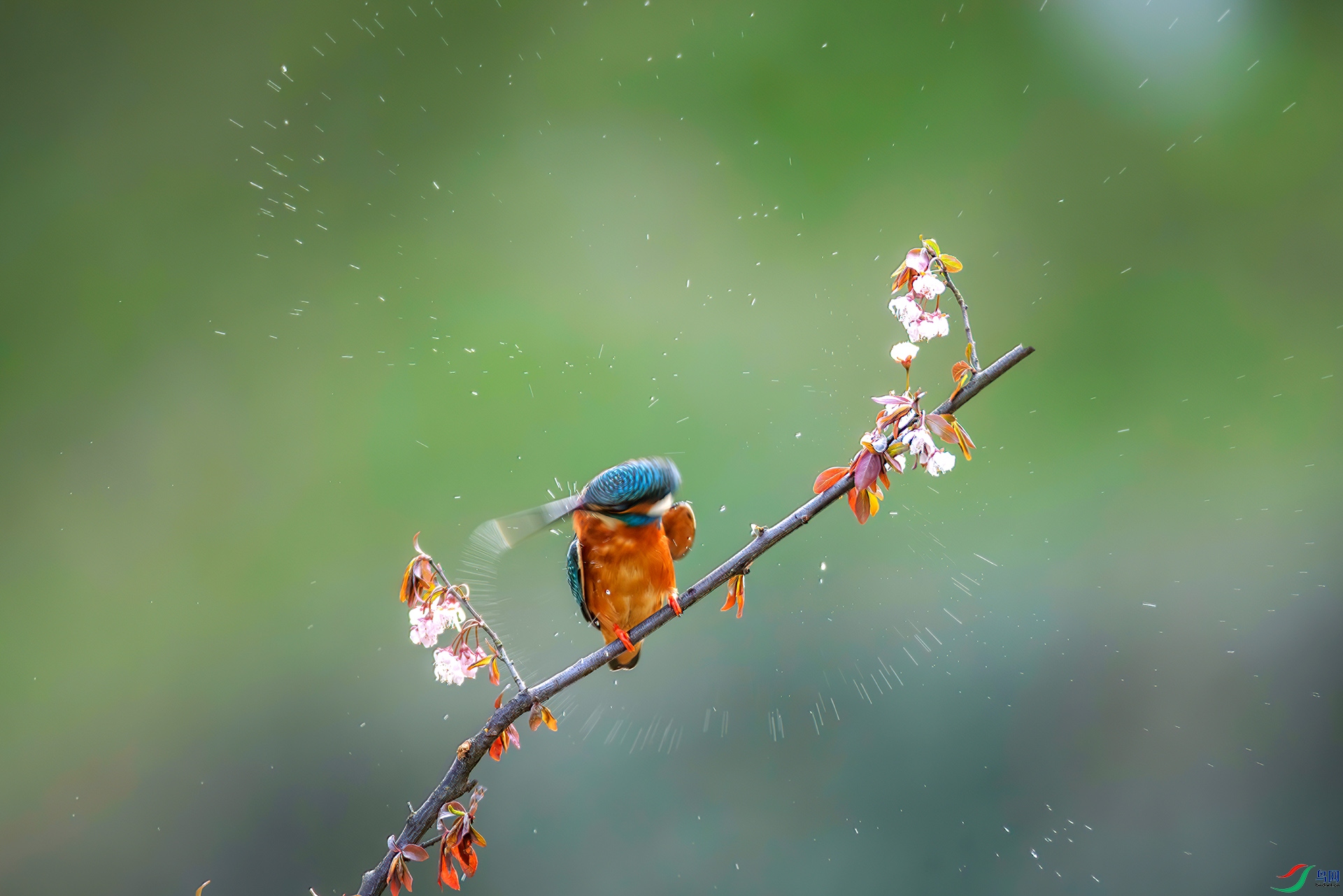 _S7I5654-----33  .jpg