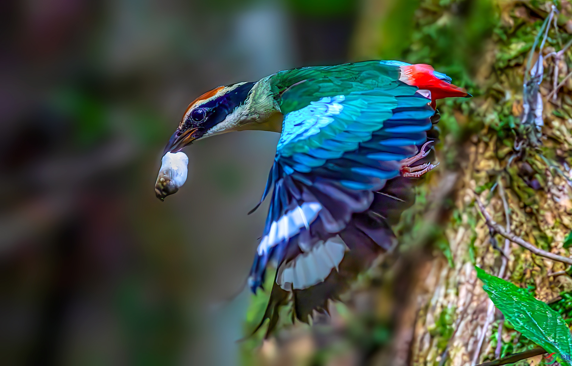 AS7I0375-----33  .jpg