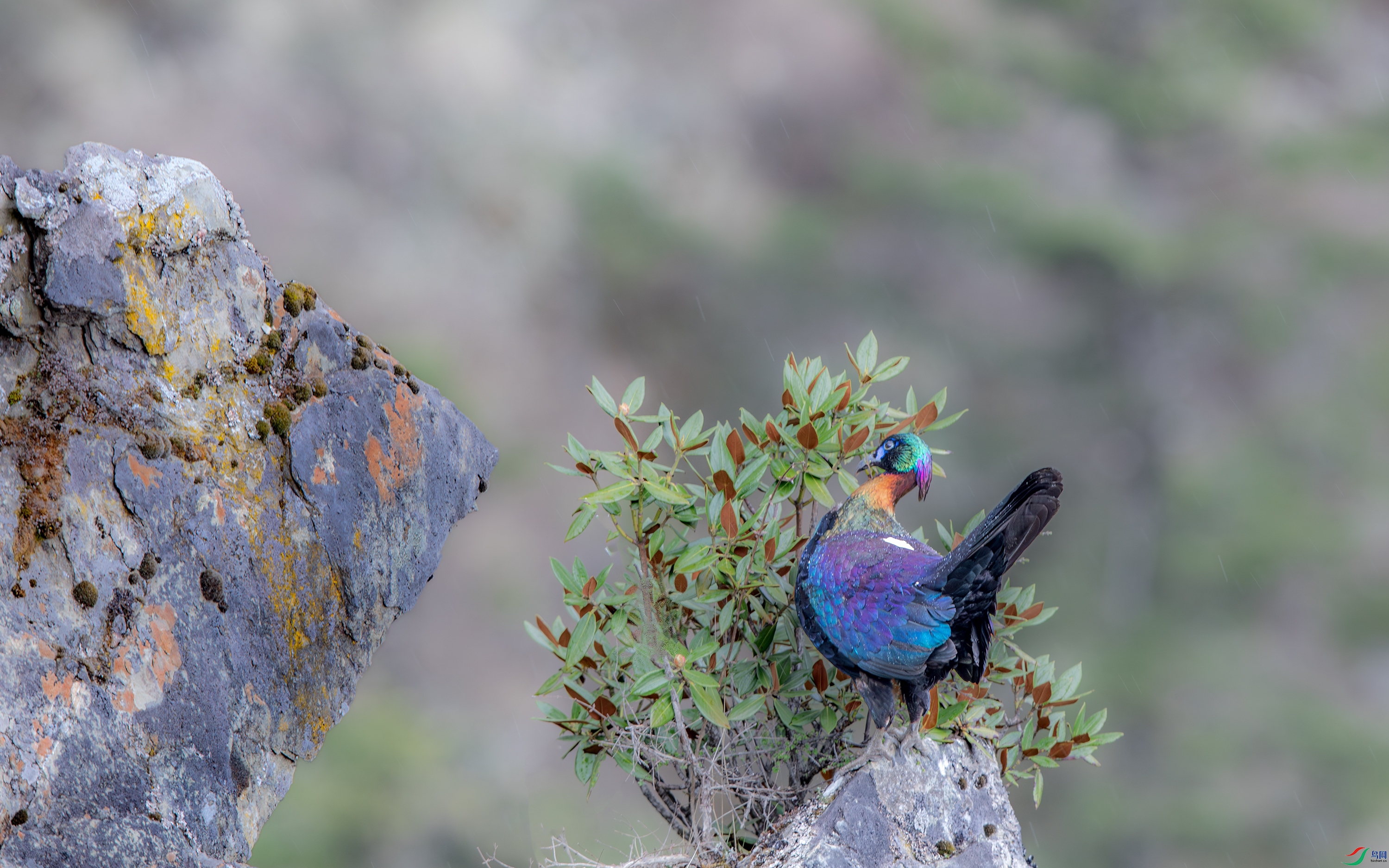 3S5A0745 ����.jpg