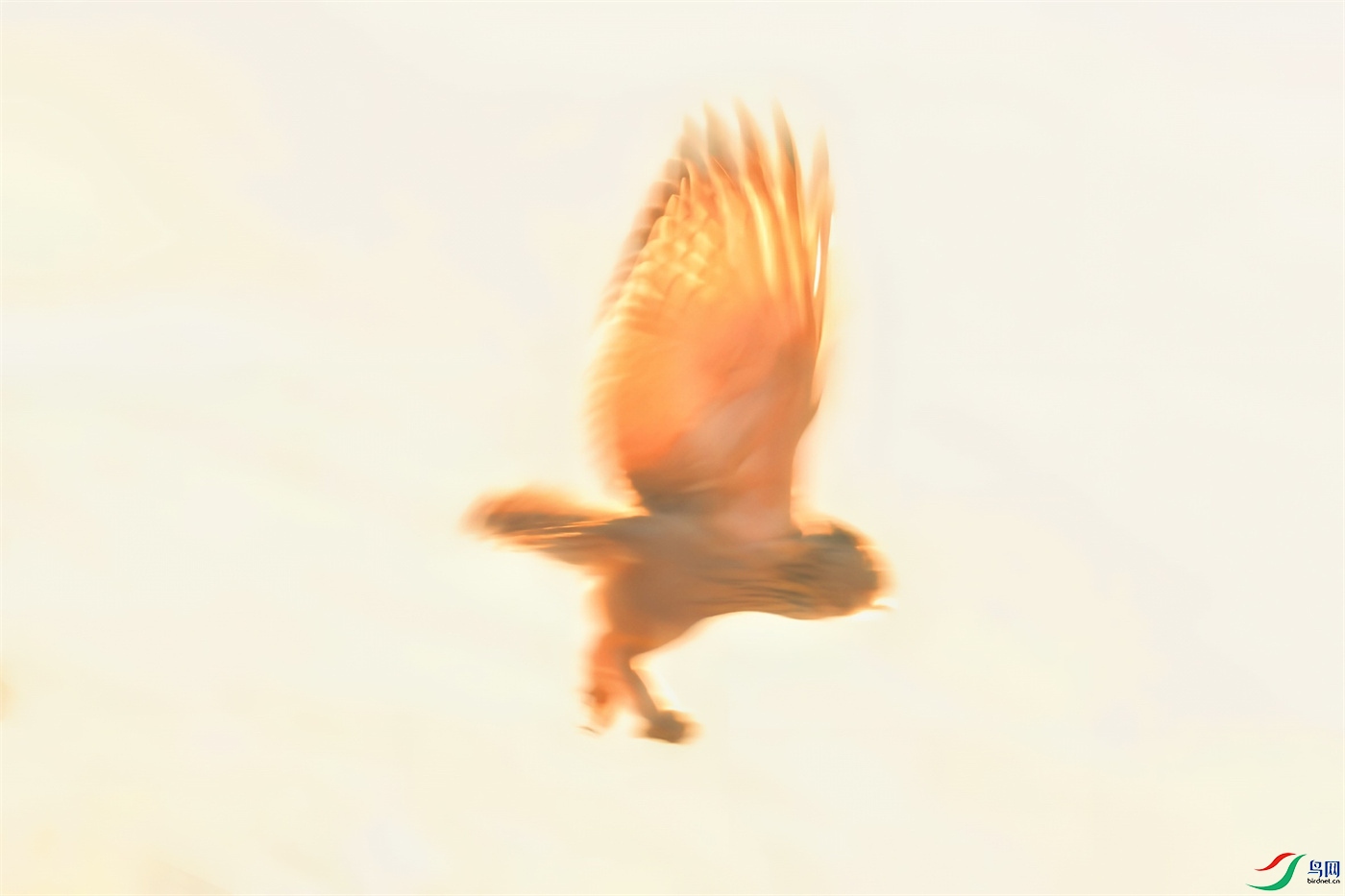 ΢��ͼƬ_20260307205324.jpg
